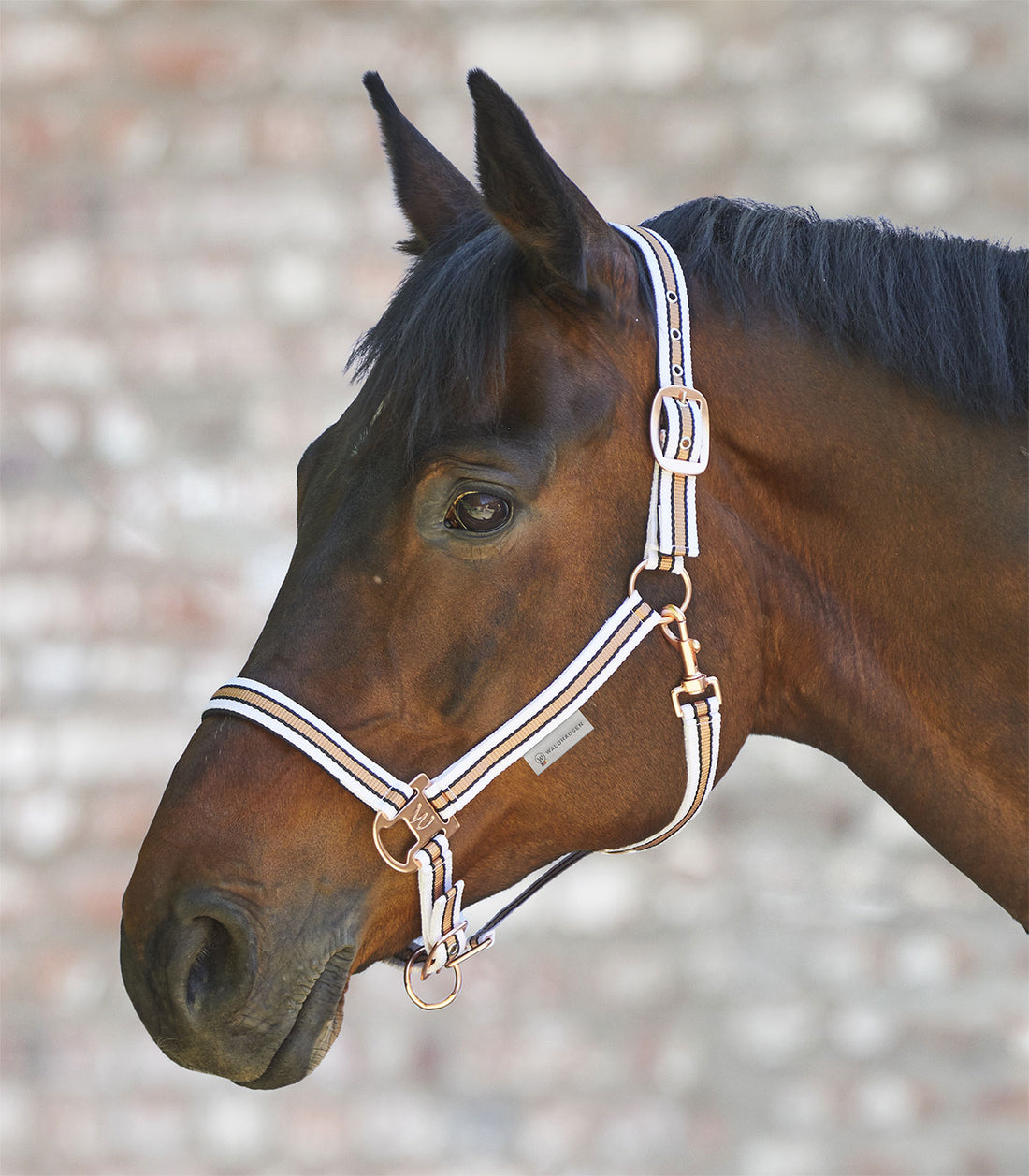 Waldhausen - Halter Shine
