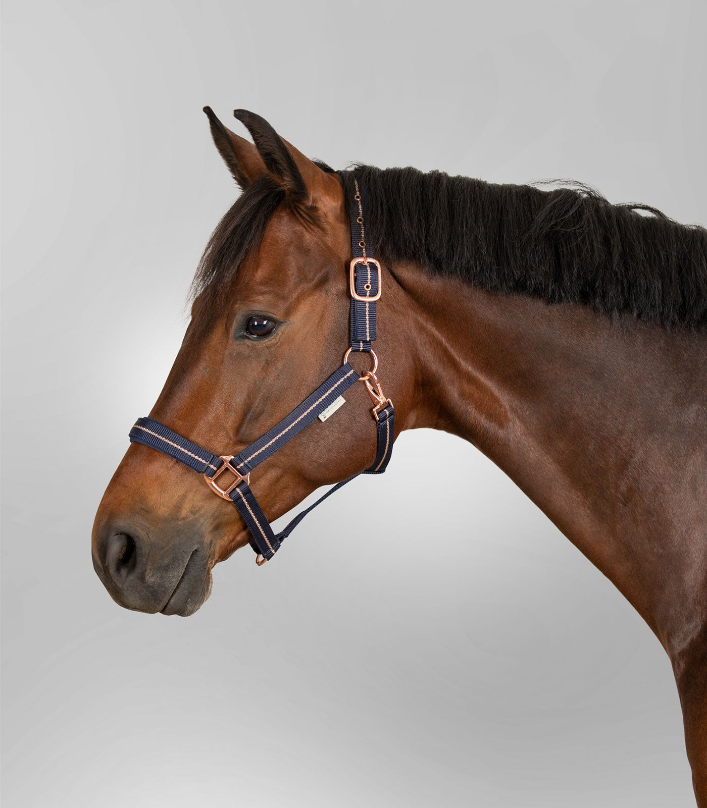 Waldhausen - Halter Rosé