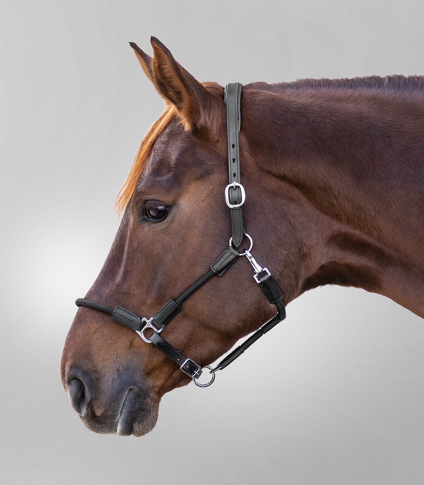 Waldhausen - Leatherhalter X-Line Nevada