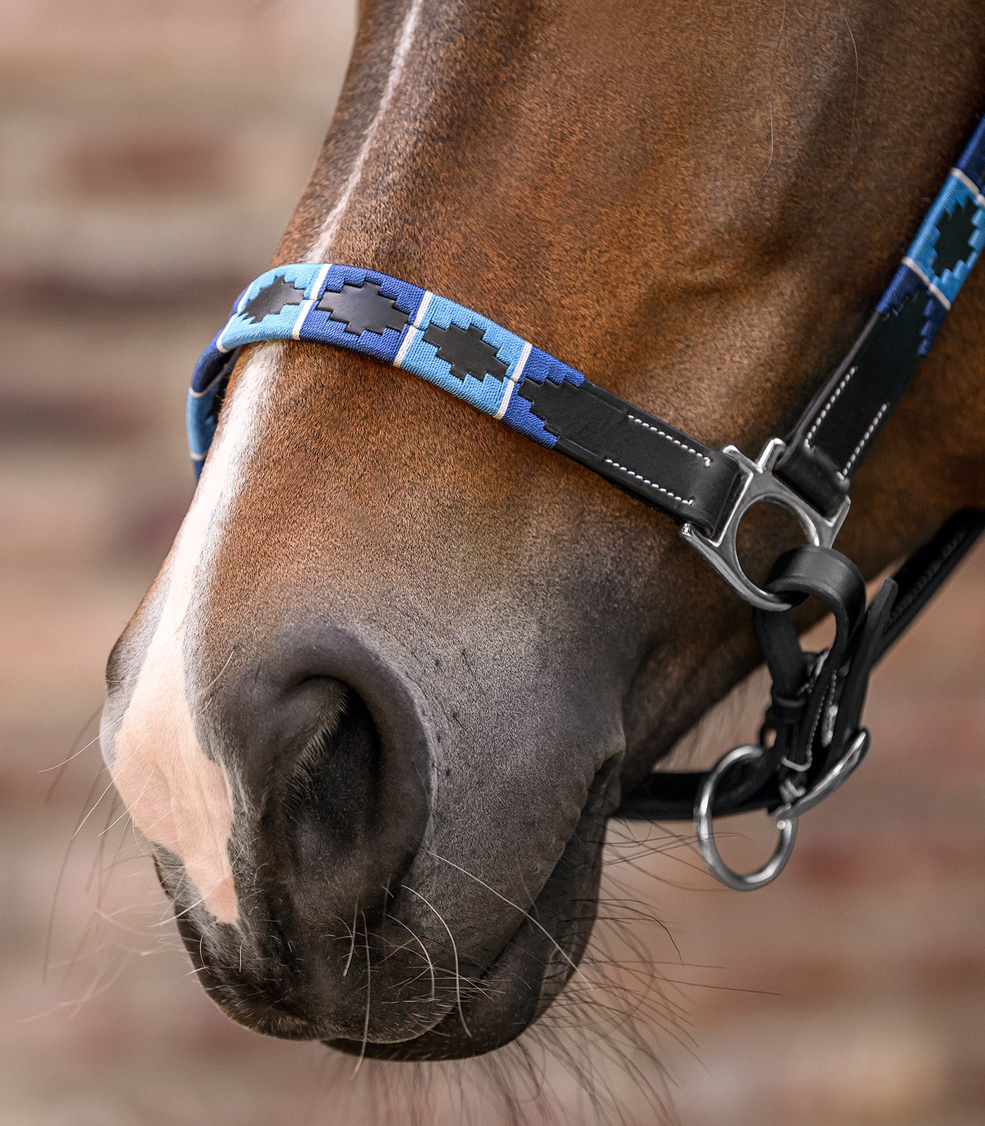Waldhausen - Leatherhalter X-Line Polo