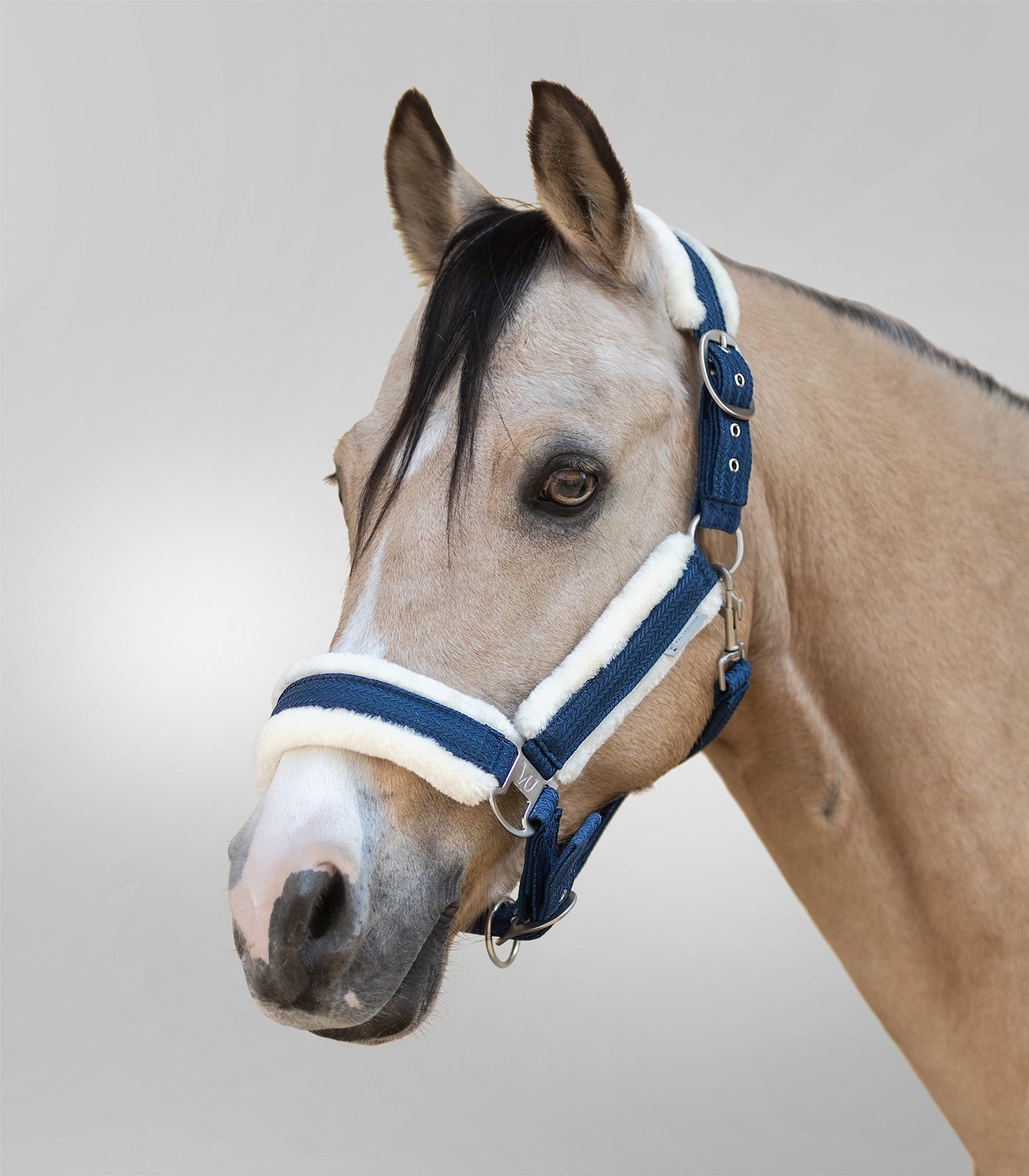 Waldhausen - Halter Sparkel