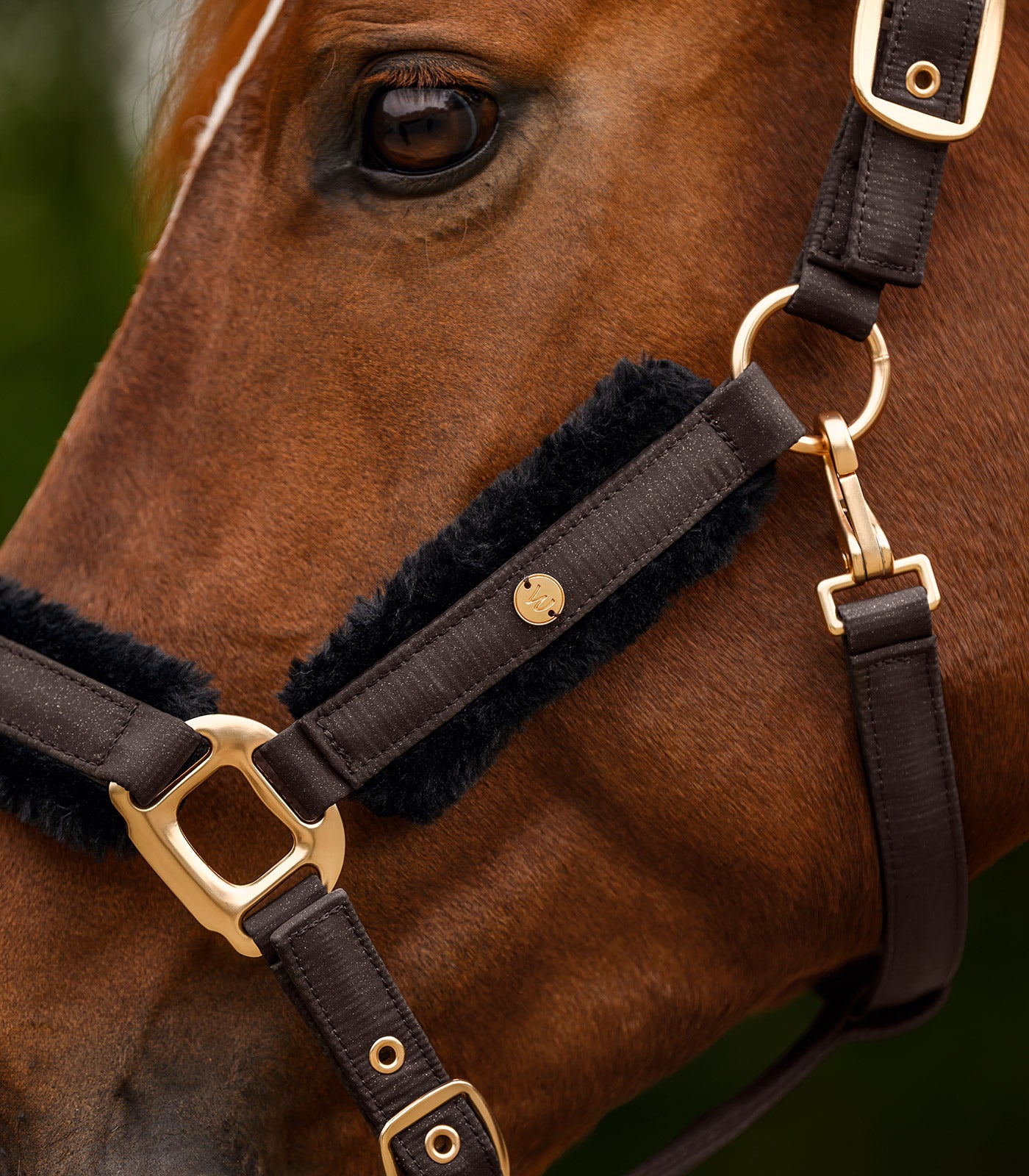 Waldhausen - Halter