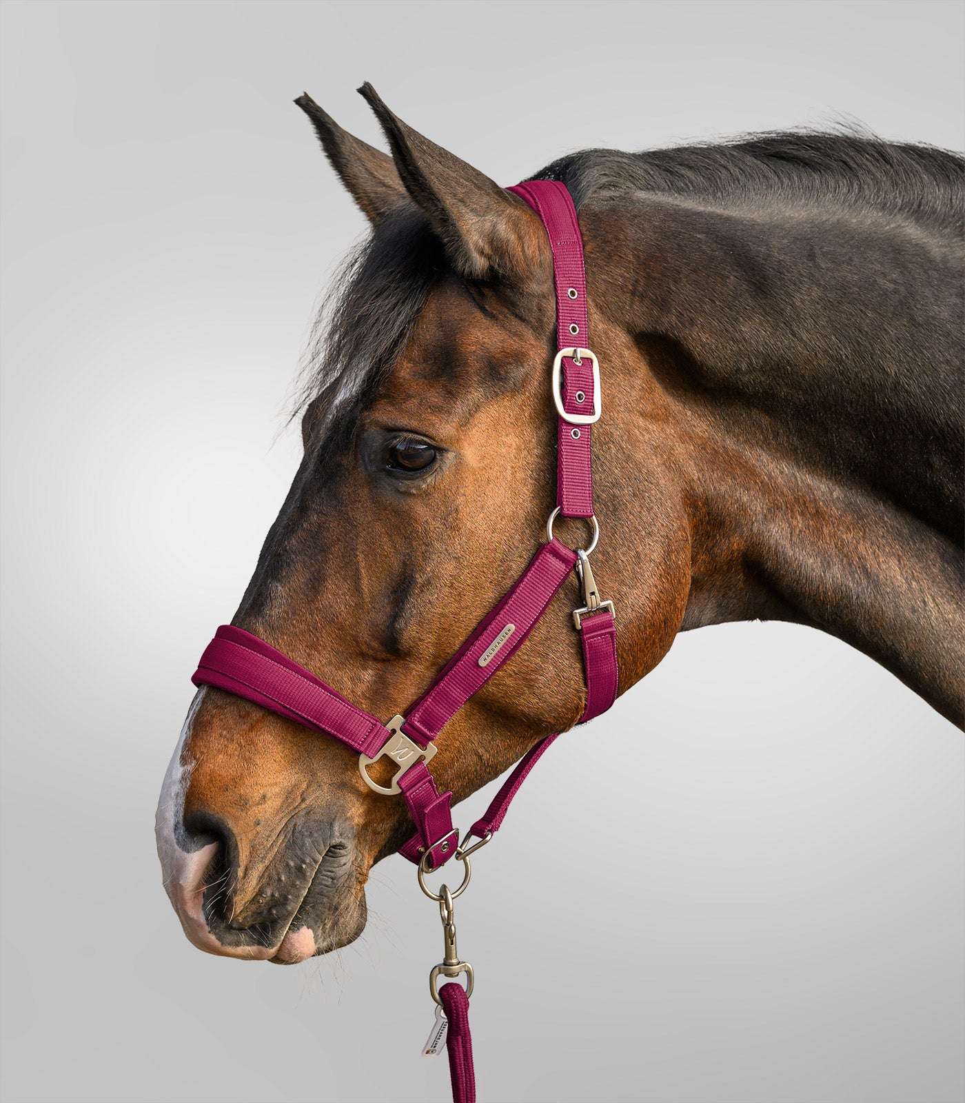 Waldhausen - Halter Set Velvet