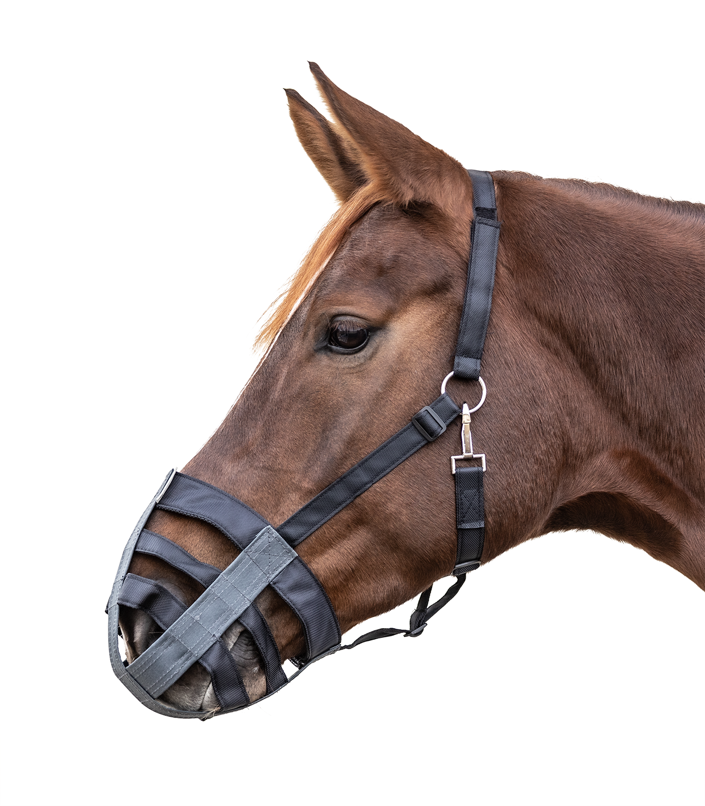 Waldhausen - Muzzle, black-grey