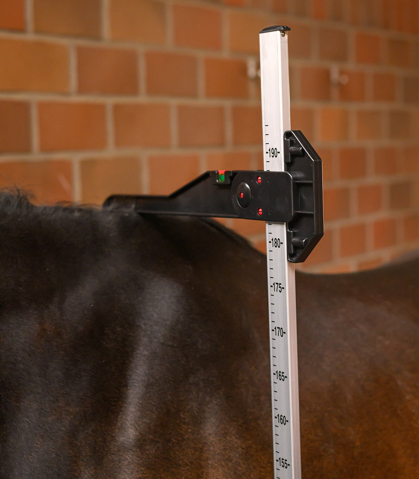 Waldhausen - Floor measure instrument for horses