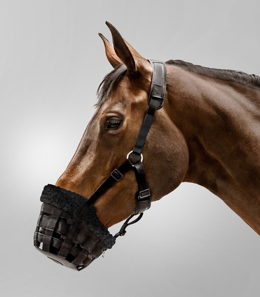 Waldhausen - Muzzle Comfort, black