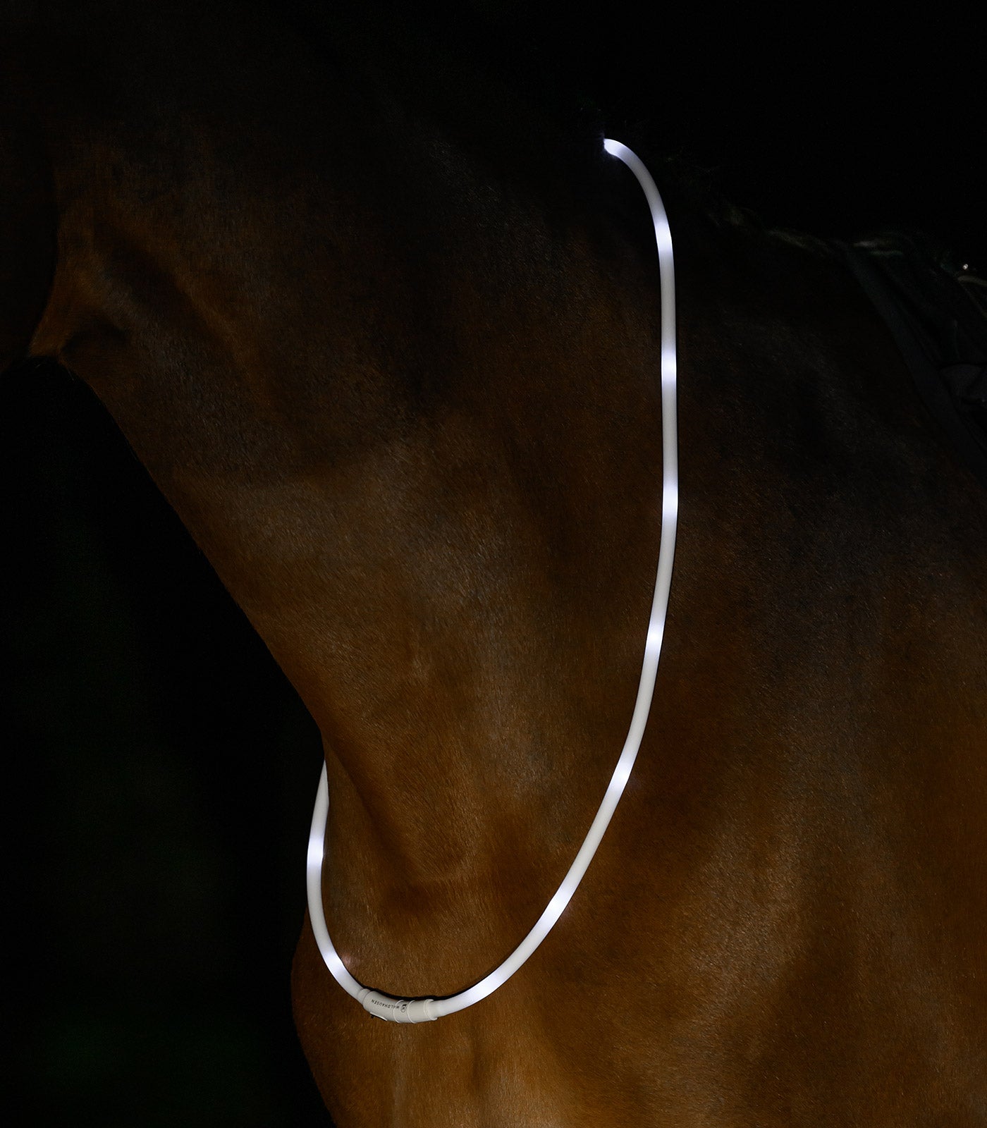 Waldhausen - Led light collar for horses
