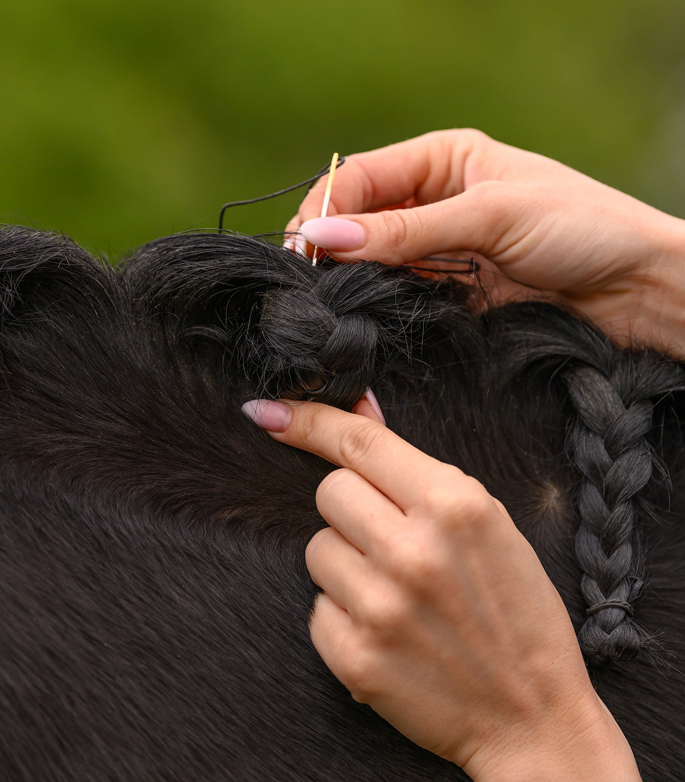 Waldhausen - Mane-Plaiting Set