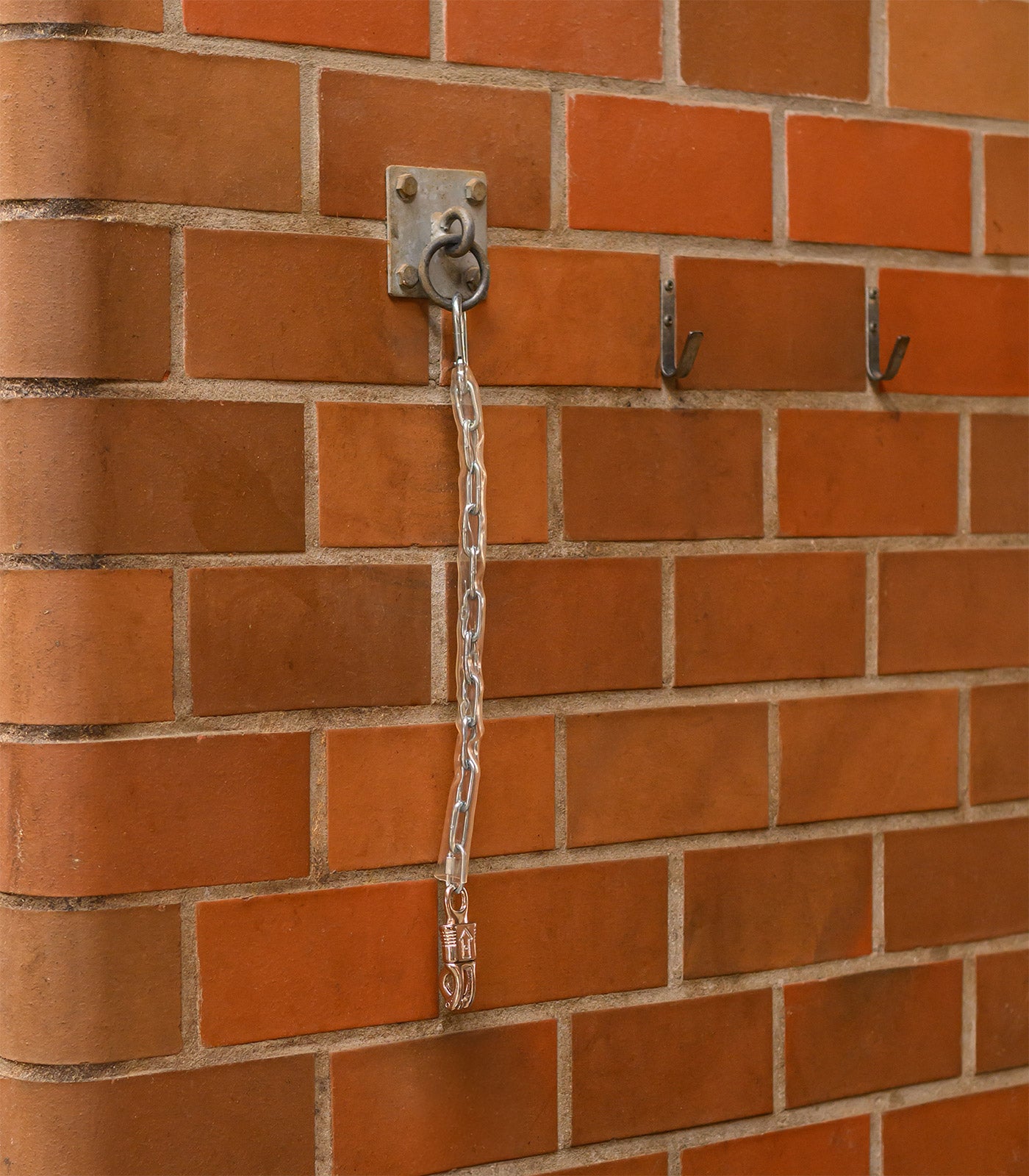 Waldhausen - Tie-Chain Plastic Coated clear, 55 cm