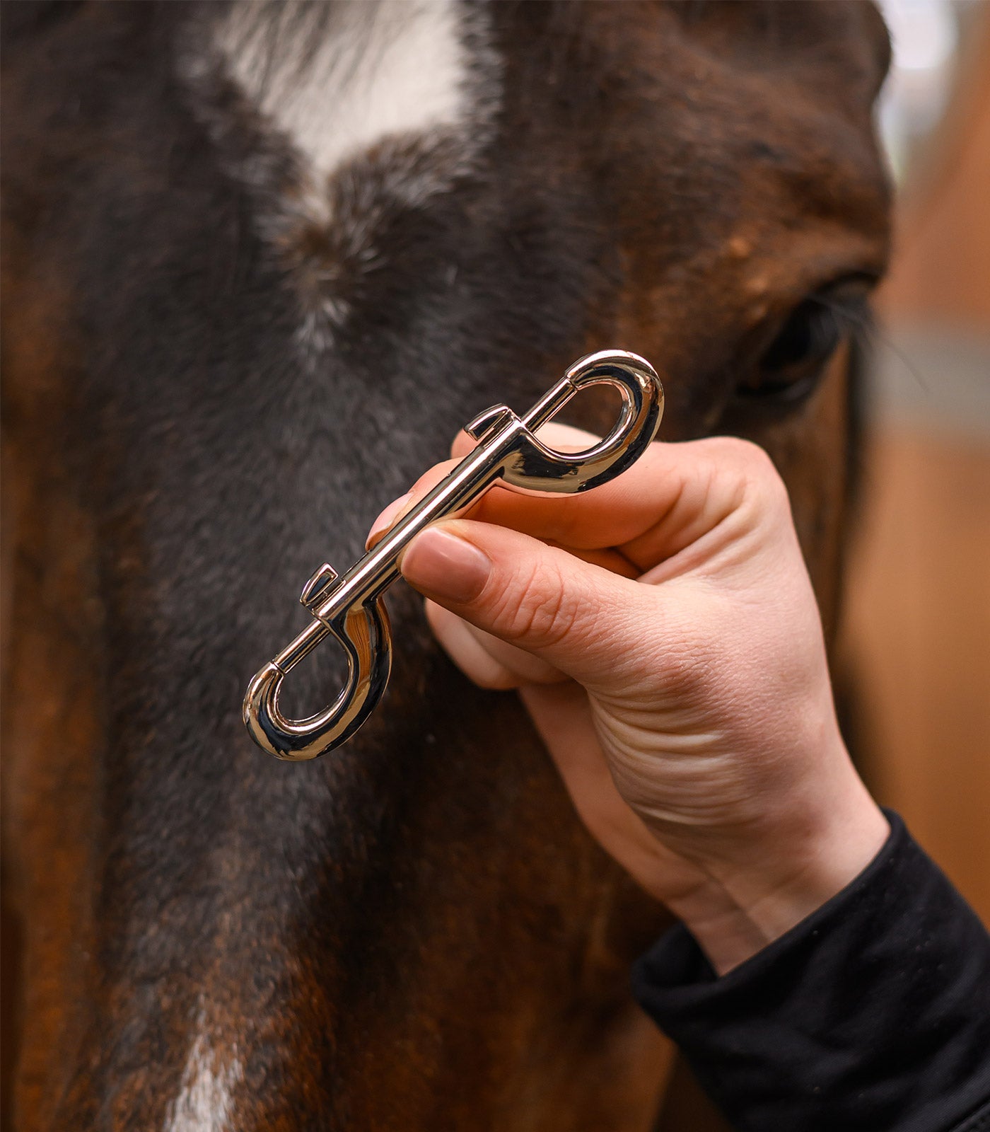 Waldhausen - Double End Snap Hook