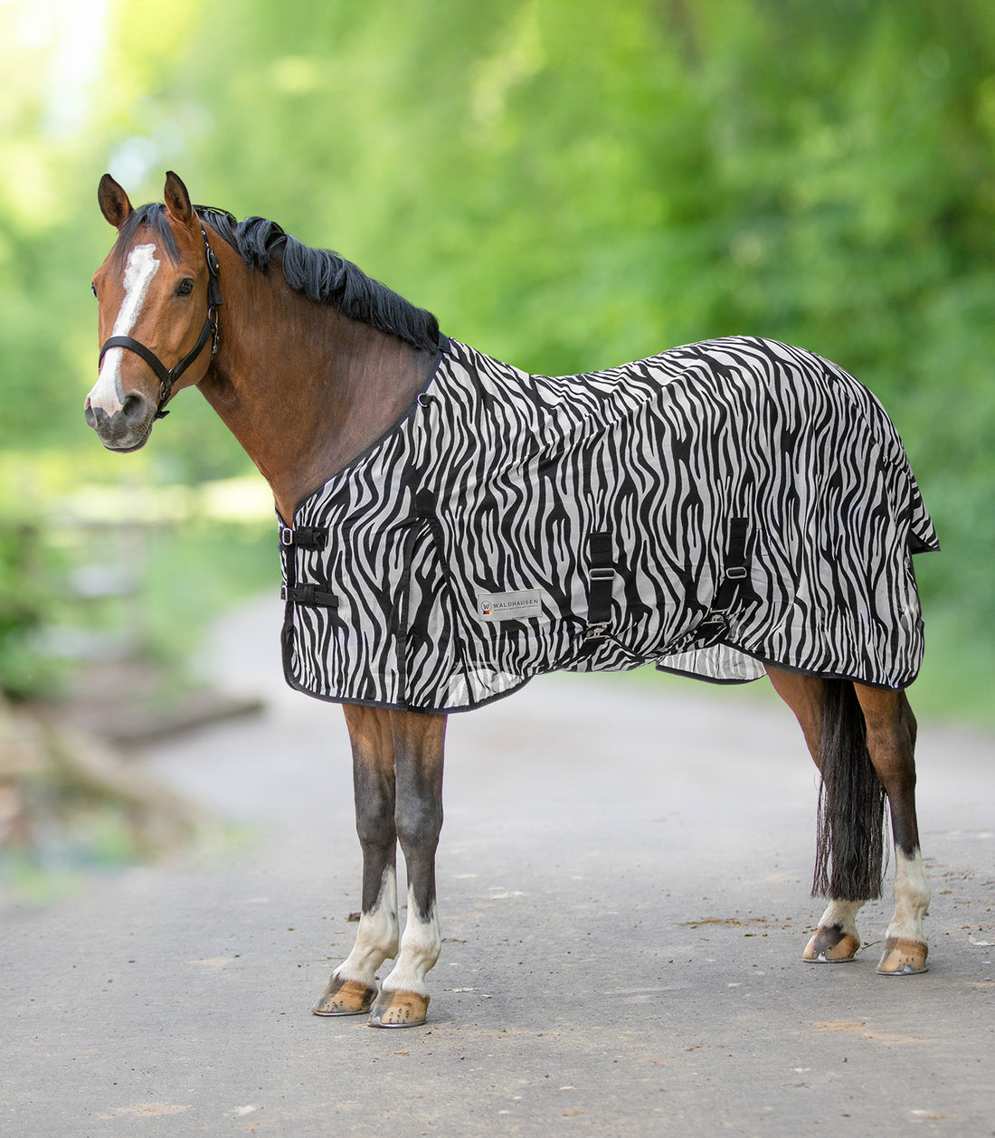Waldhausen - Flyrug Zebra