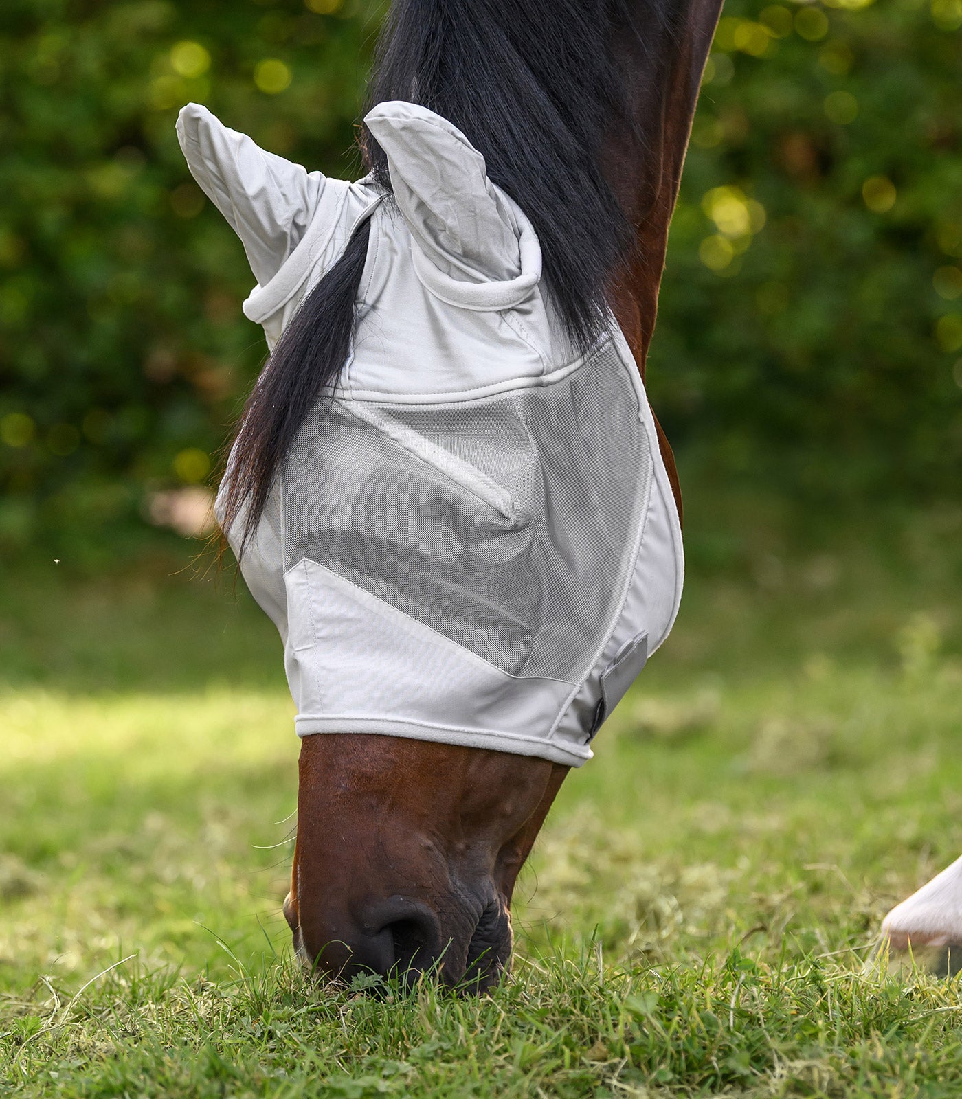 Waldhausen - Fly Mask Premium with ears