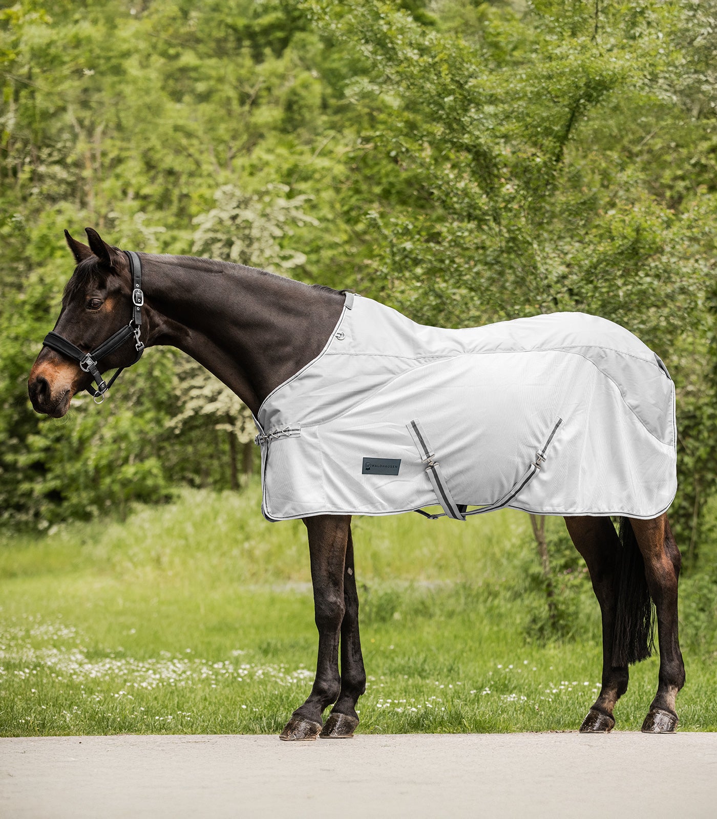 Waldhausen - Fly Sheet Protect