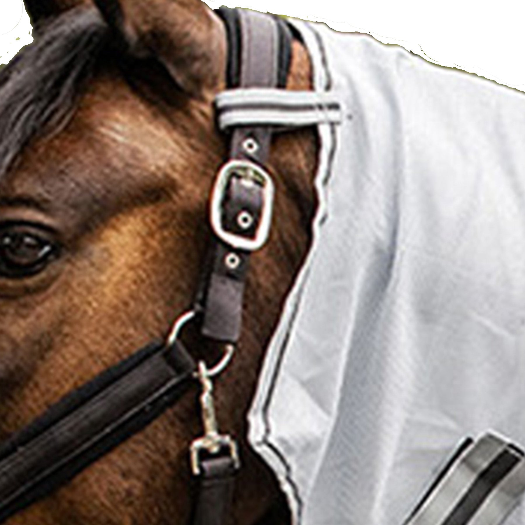 Waldhausen - Fly Neck Rug Protect, silver grey/grey, Cob