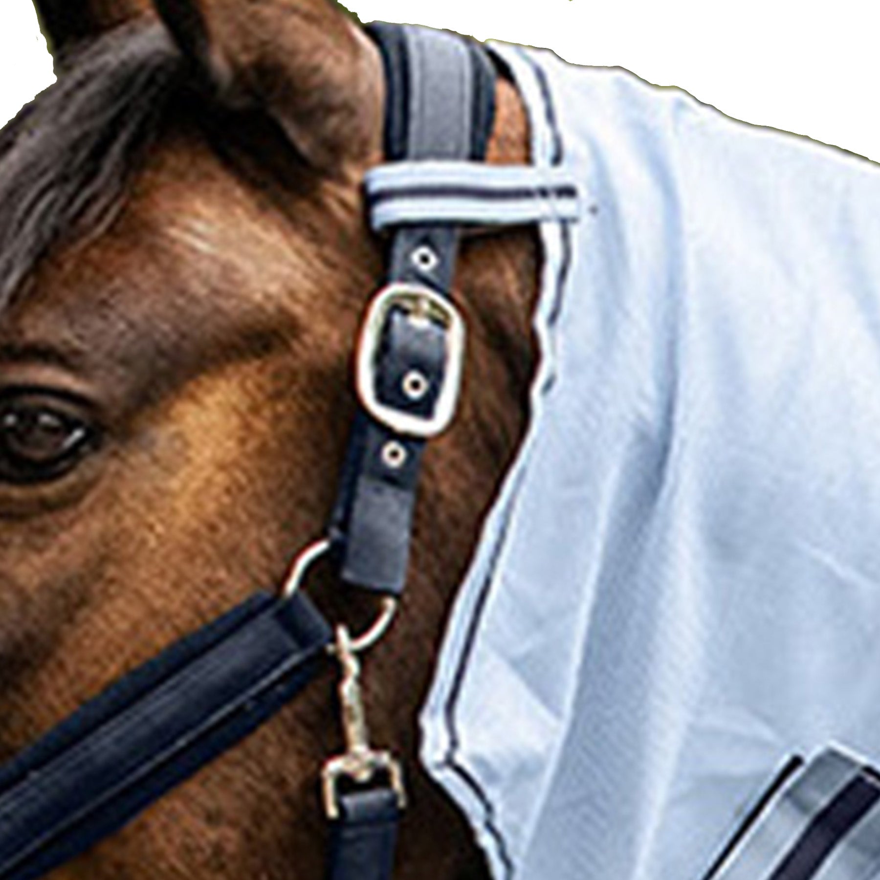 Waldhausen - Fly Neck Rug Protect, silver grey/grey, Cob