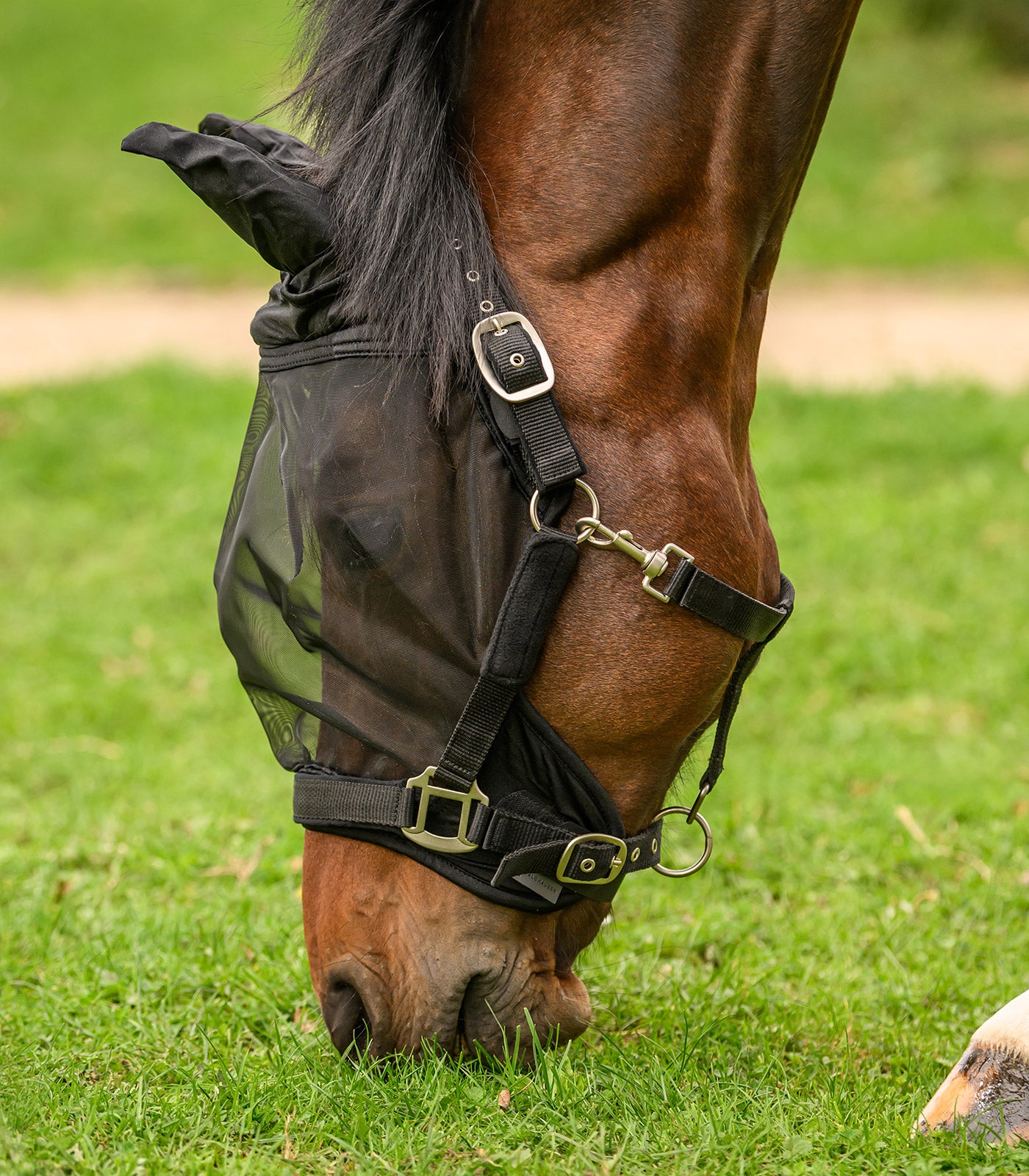 Waldhausen - Fly mask Premium for halter, with ears