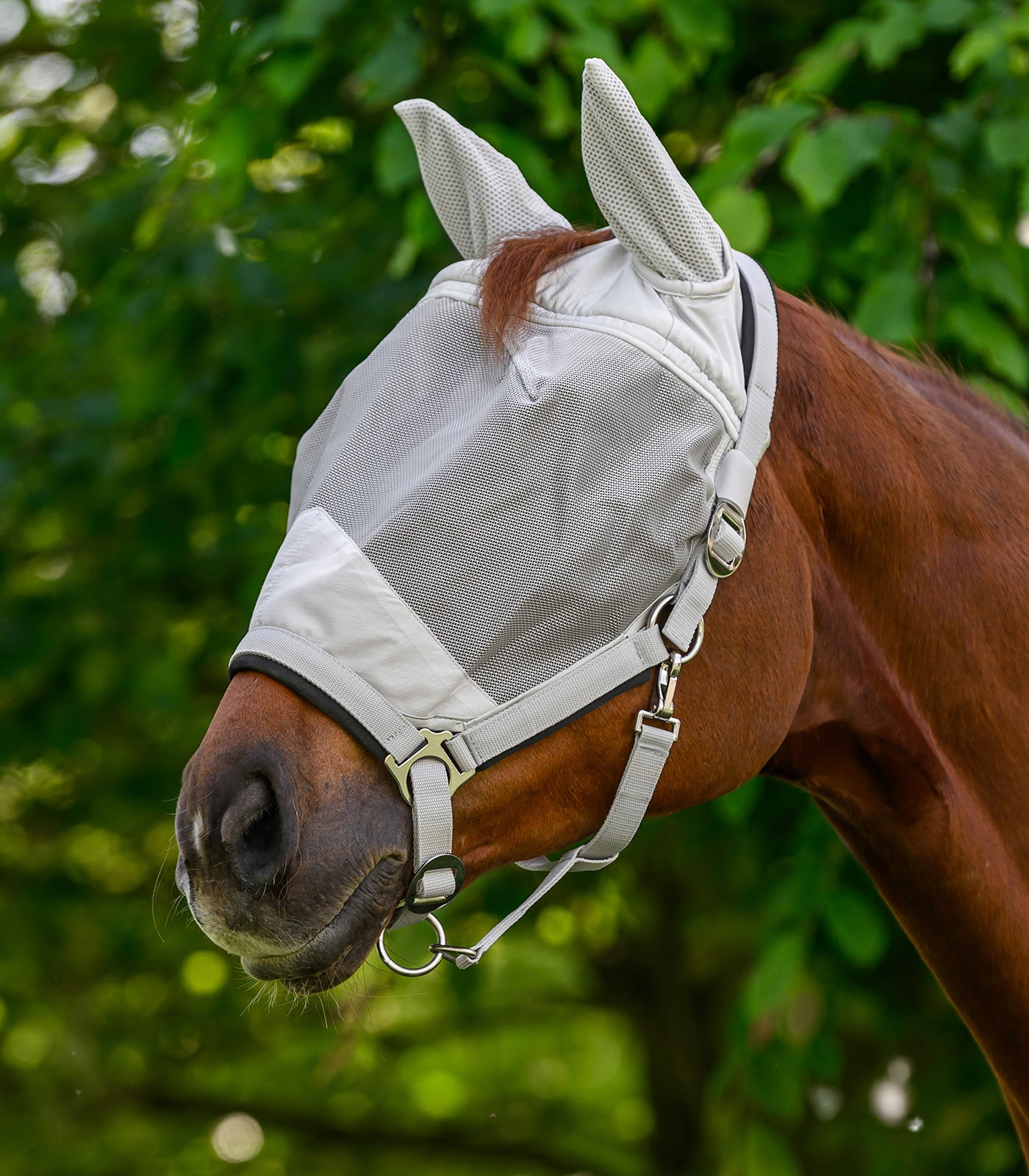 Waldhausen - Fly Bonnet Premium, w. Halter