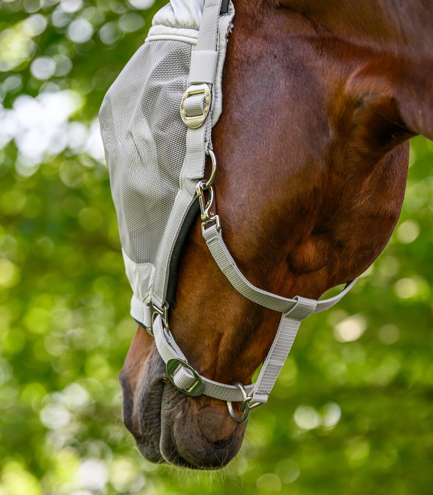 Waldhausen - Fly Bonnet Premium, w. Halter