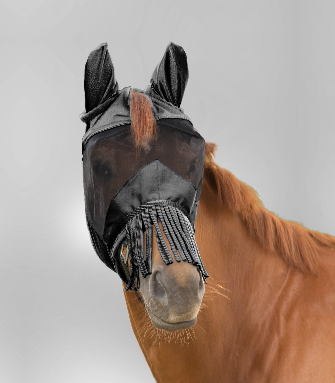 Waldhausen - Fly mask with ears and fringes on nose