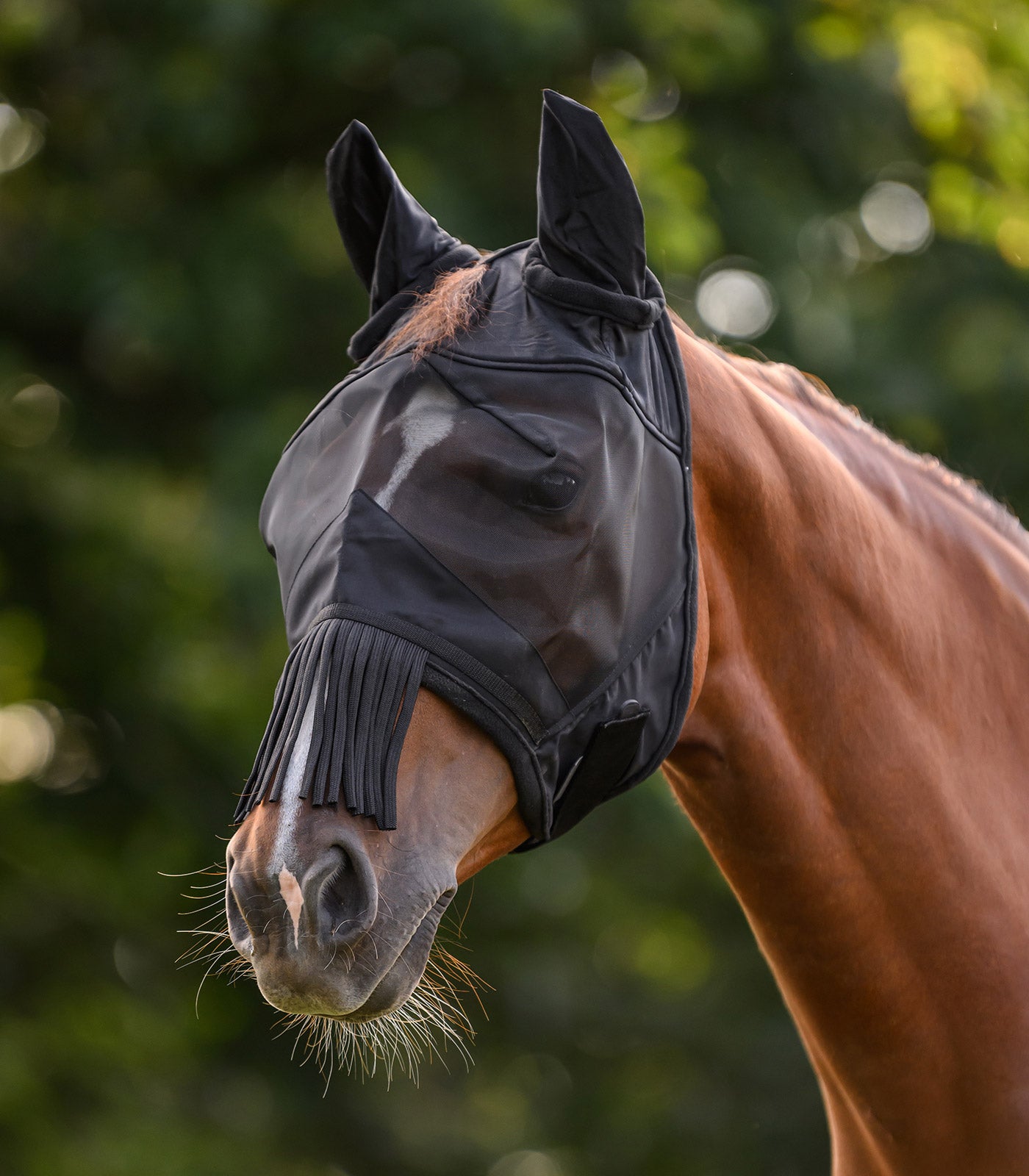 Waldhausen - Fly mask with ears and fringes on nose