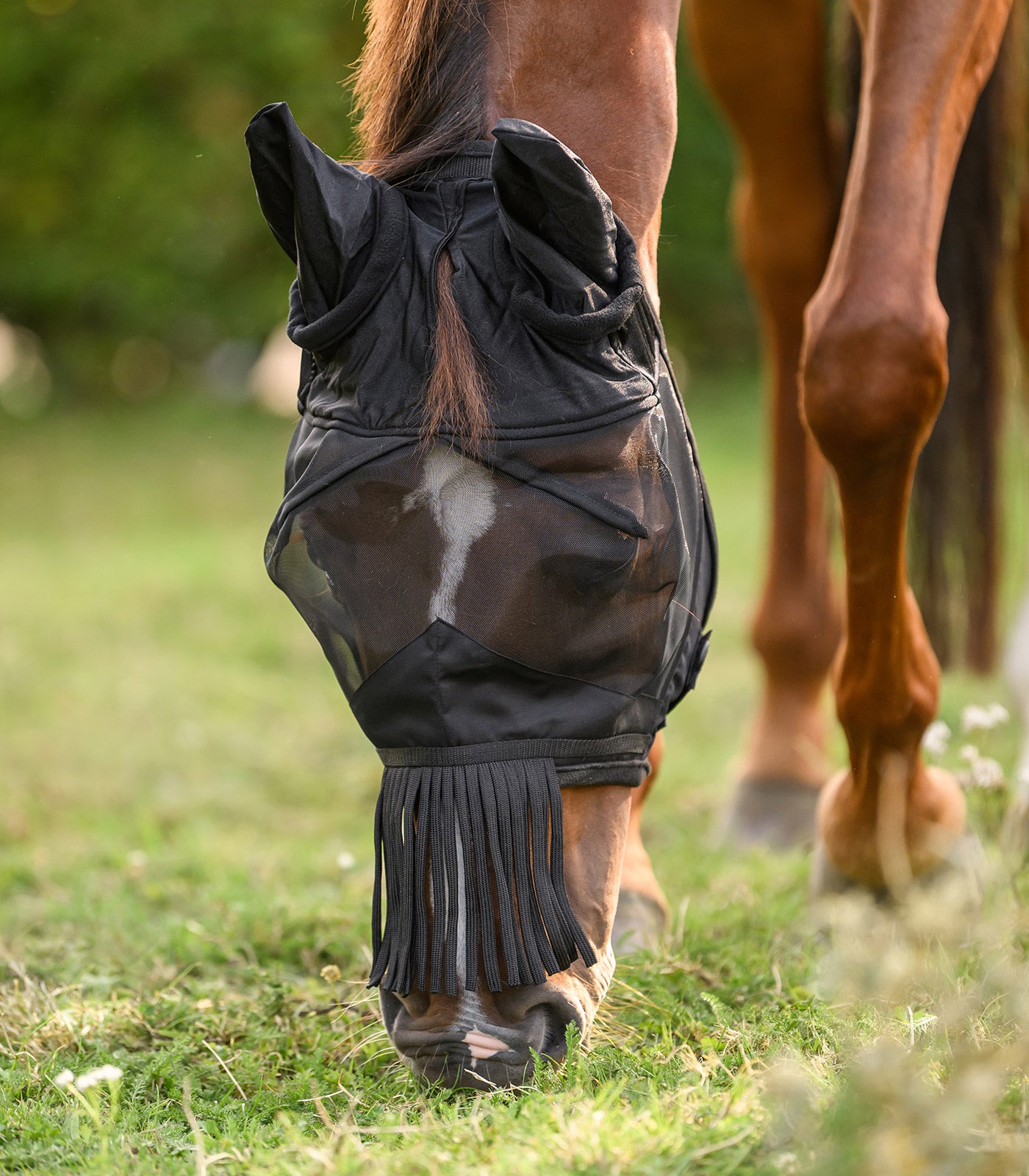 Waldhausen - Fly mask with ears and fringes on nose