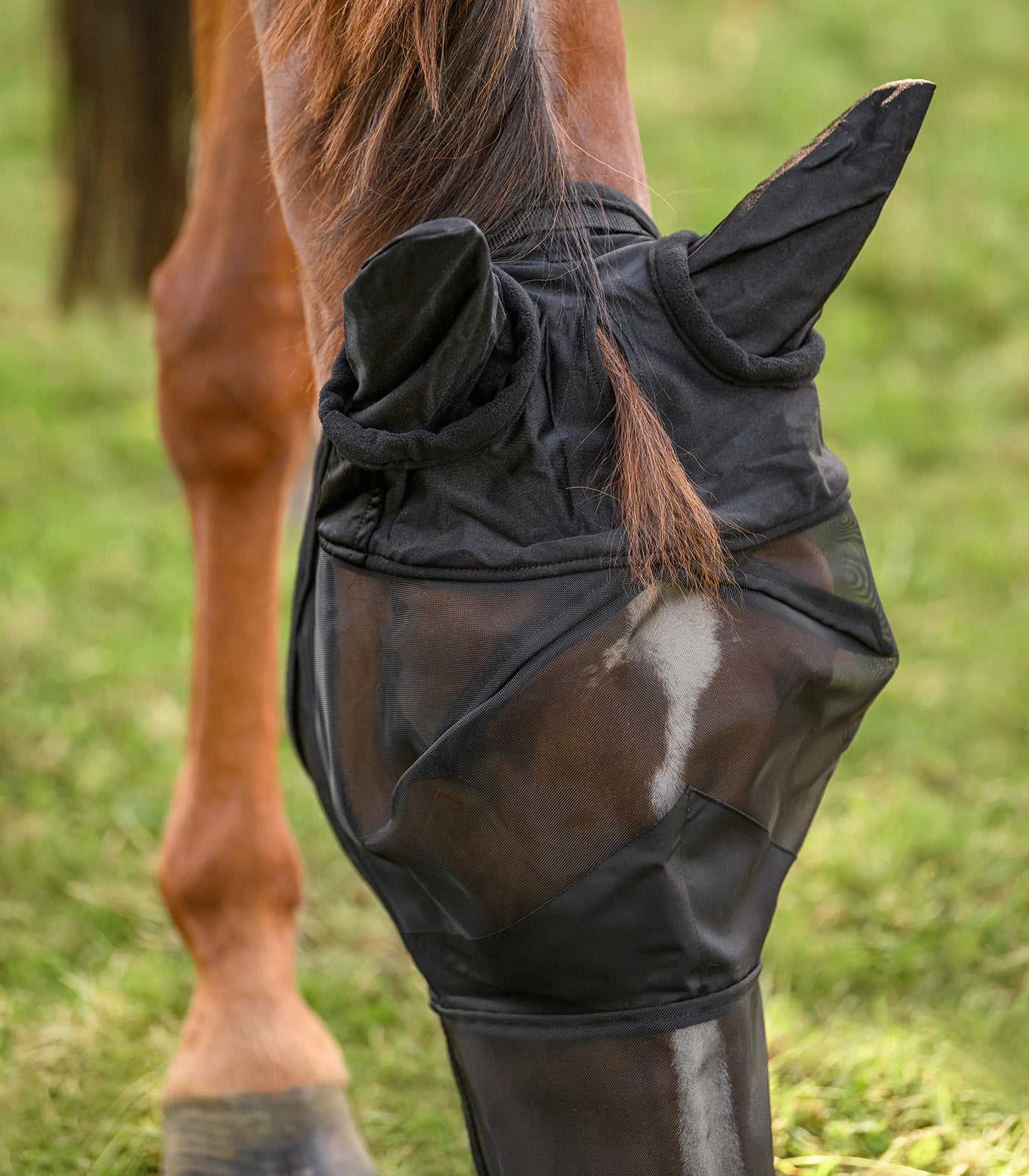 Waldhausen - Fly Bonnet with ears and nose extension
