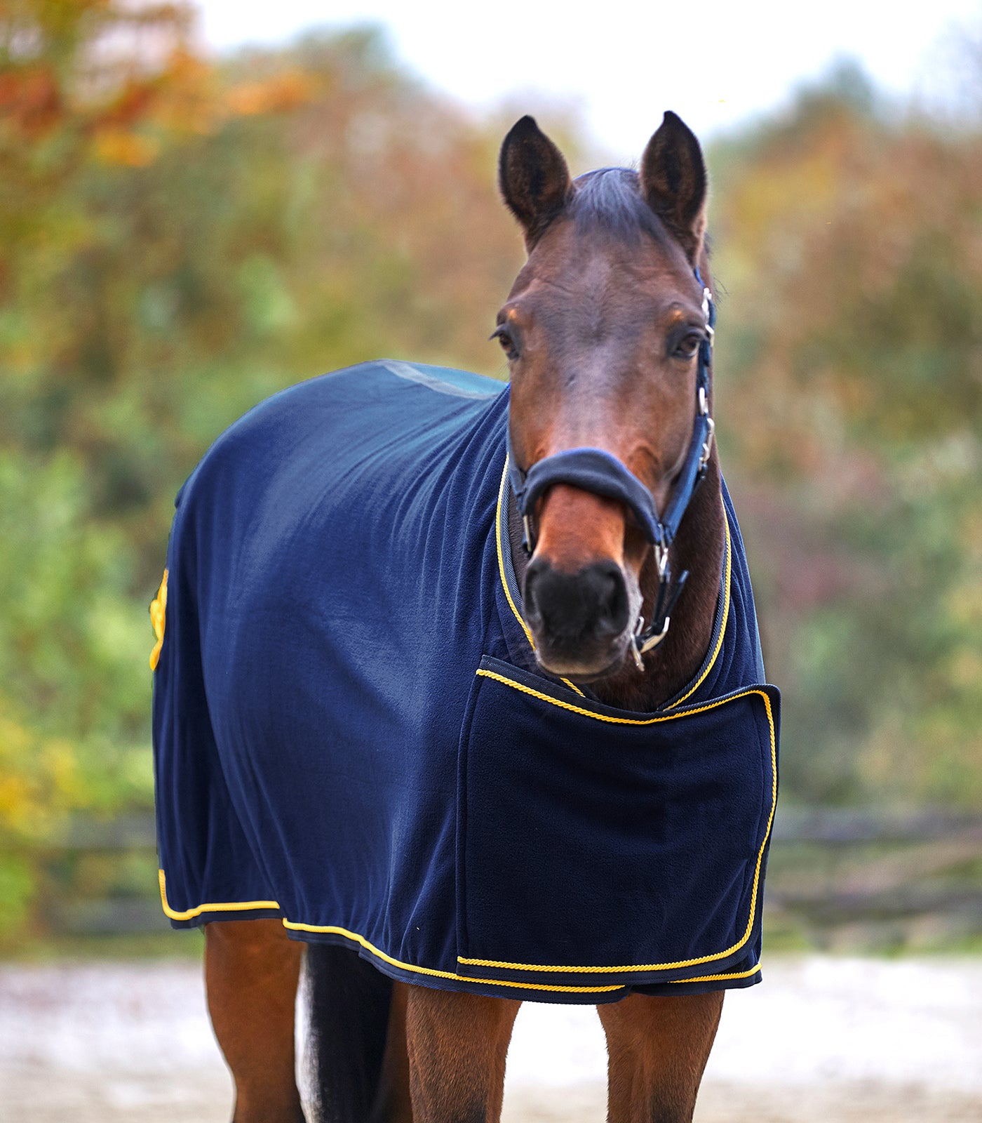 Waldhausen - Fleece Anti Sweat Rug
