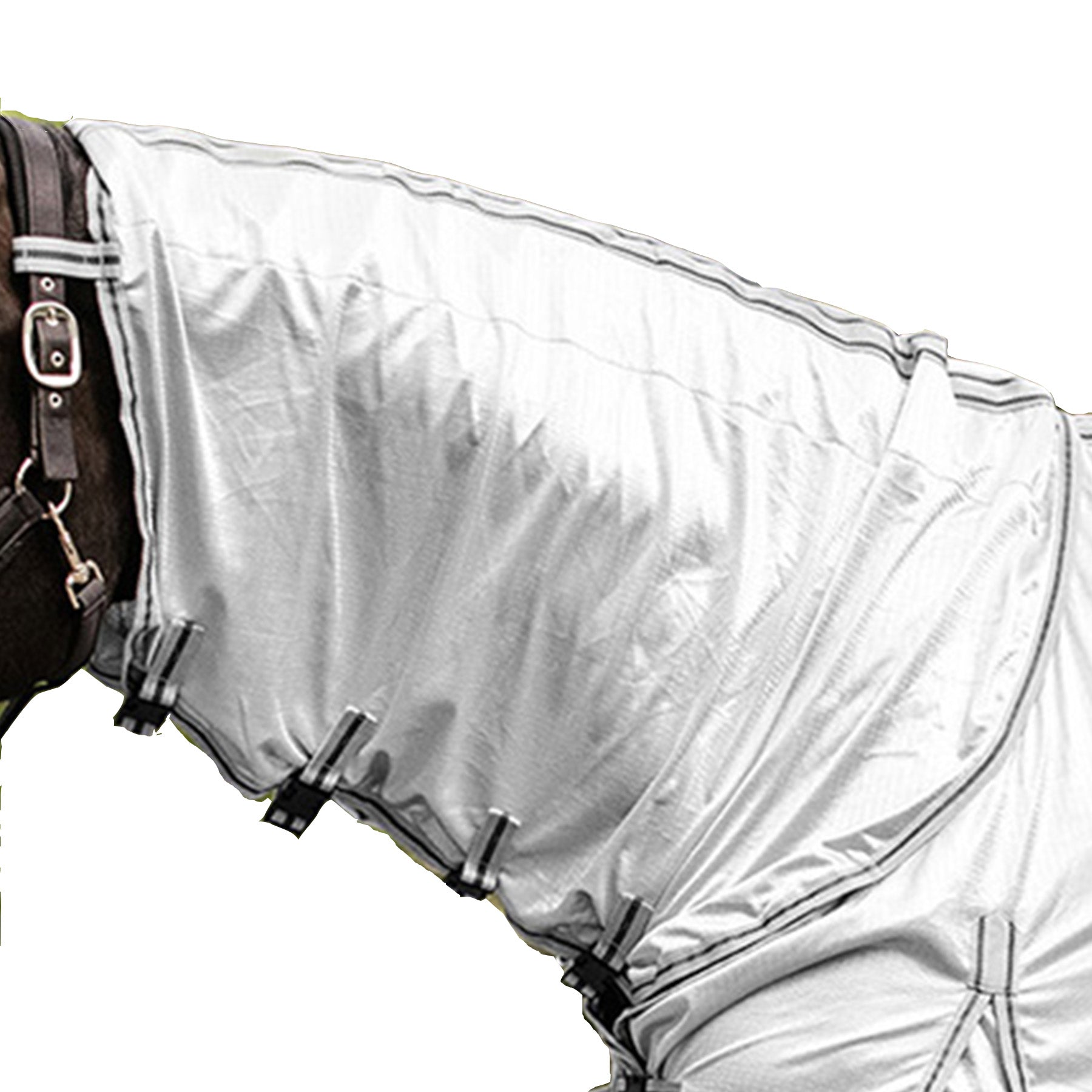 Waldhausen - Eczema-Fly Sheet Protect