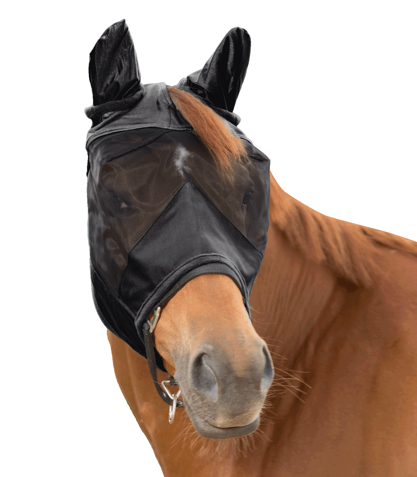 Waldhausen - Fly Mask 3 in 1, black