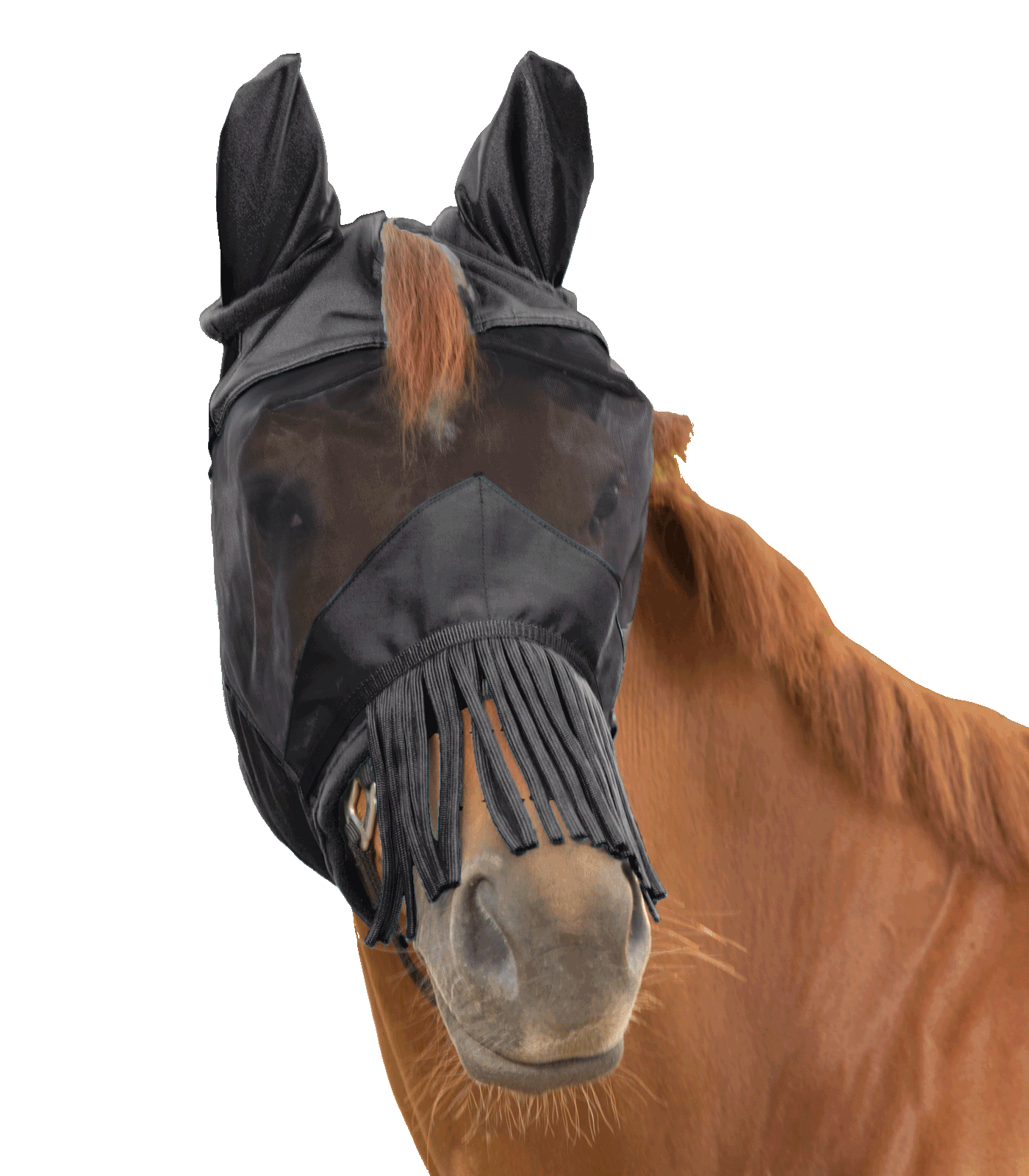 Waldhausen - Fly Mask 3 in 1, black