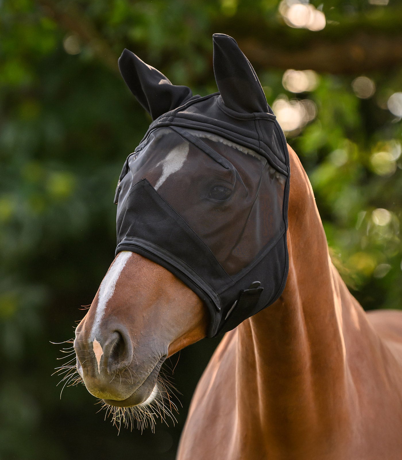 Waldhausen - Fly Mask 3 in 1, black