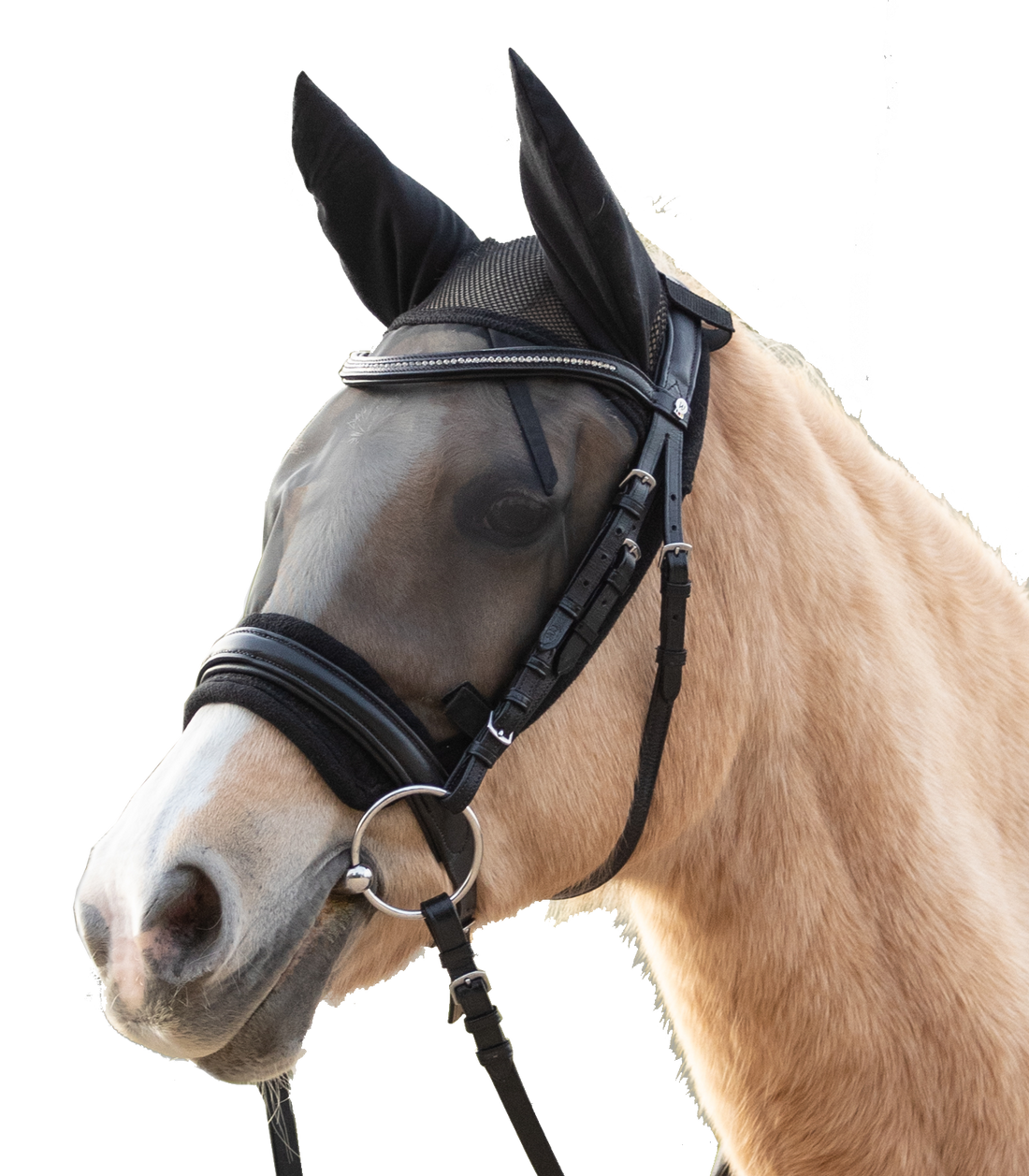 Waldhausen - Fly Mask ride, black