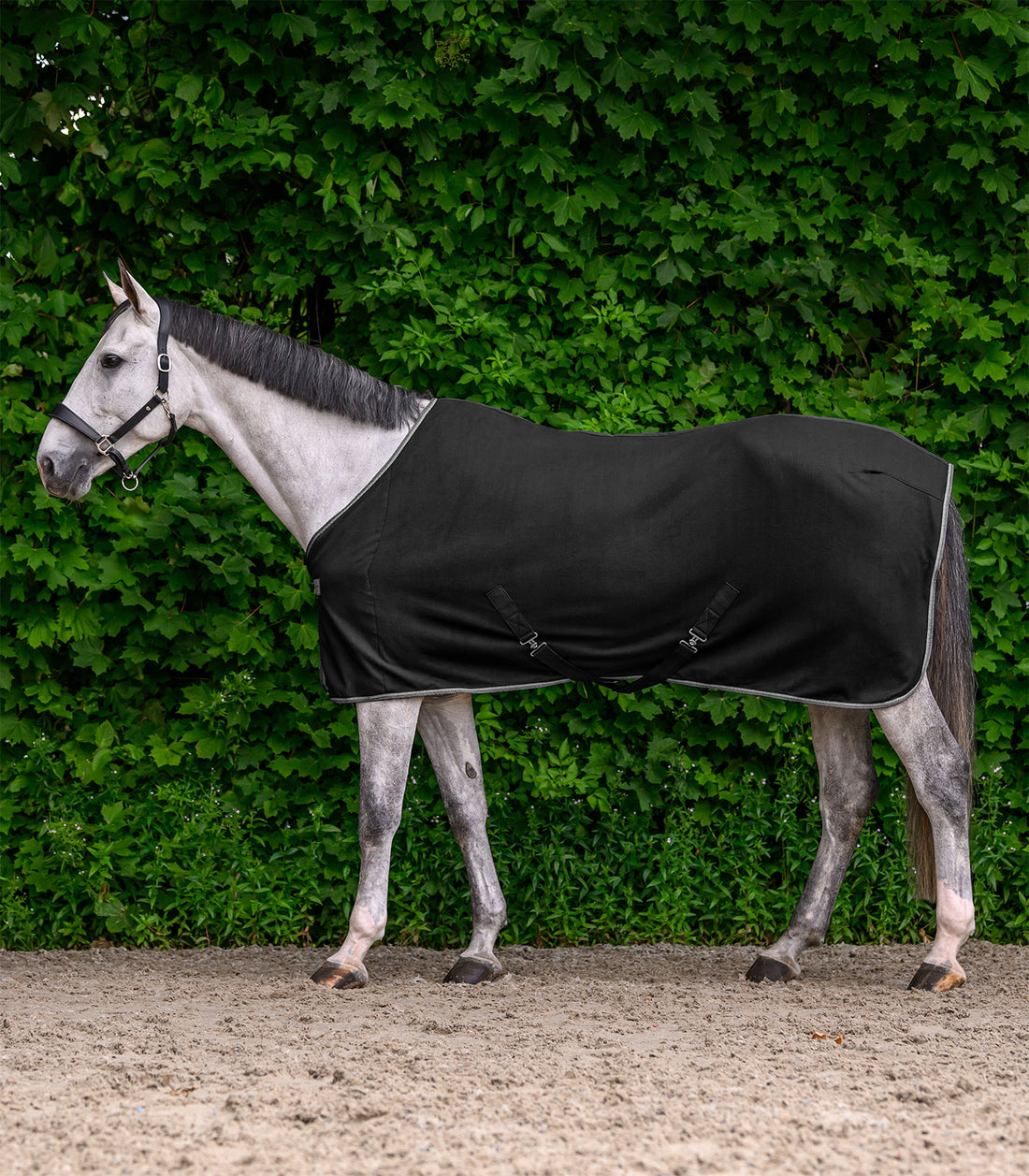 Waldhausen - ECONOMIC Fleece rug w. cross surcingles, black, 115 cm