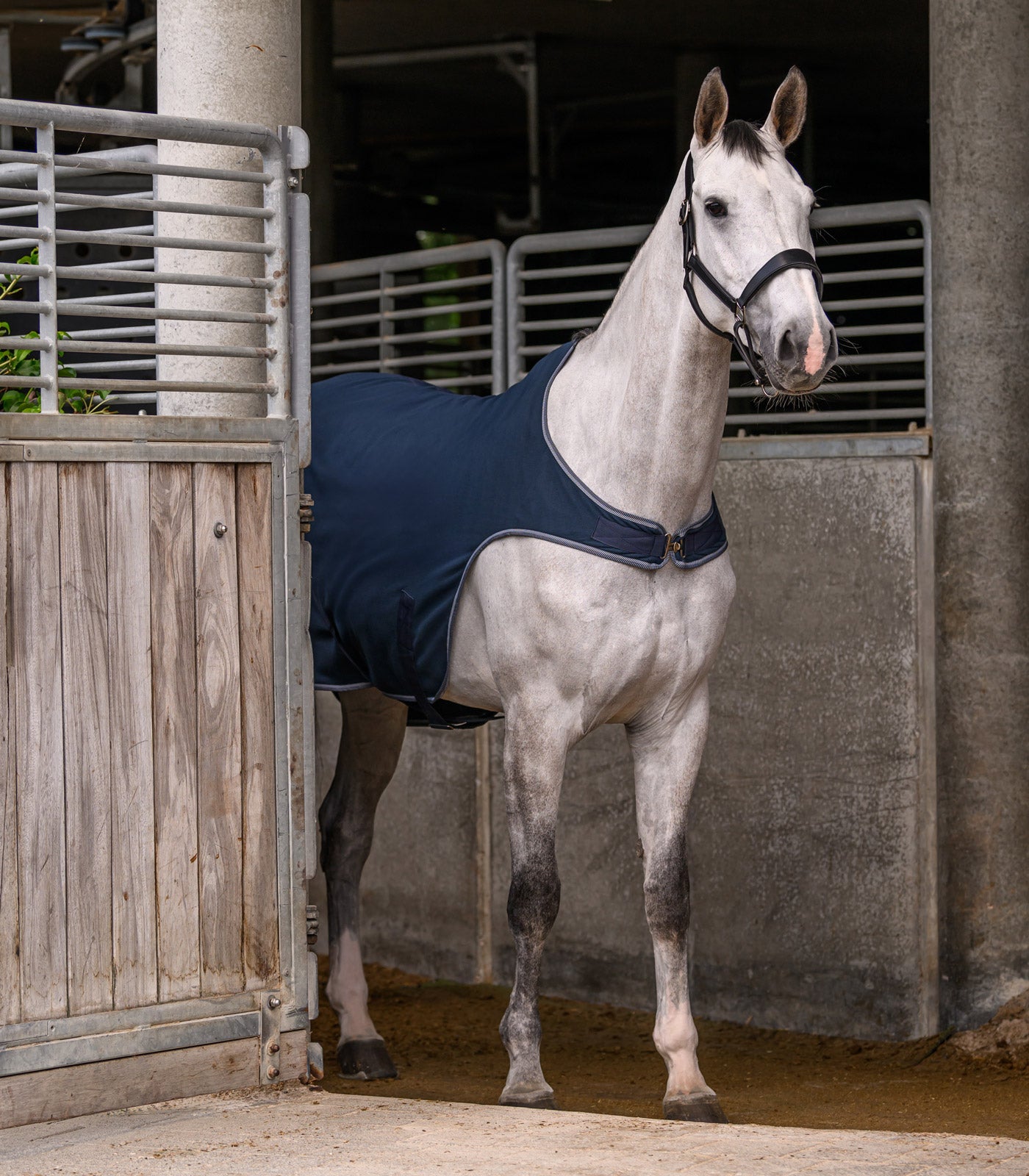 Waldhausen - ECONOMIC Fleece Walking rug, nightblue