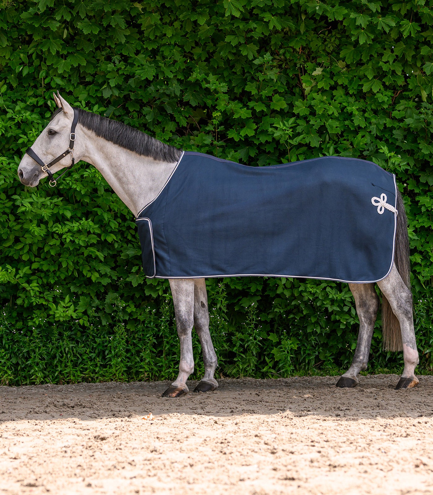 Waldhausen - ECONOMIC Fleece Advertising rug