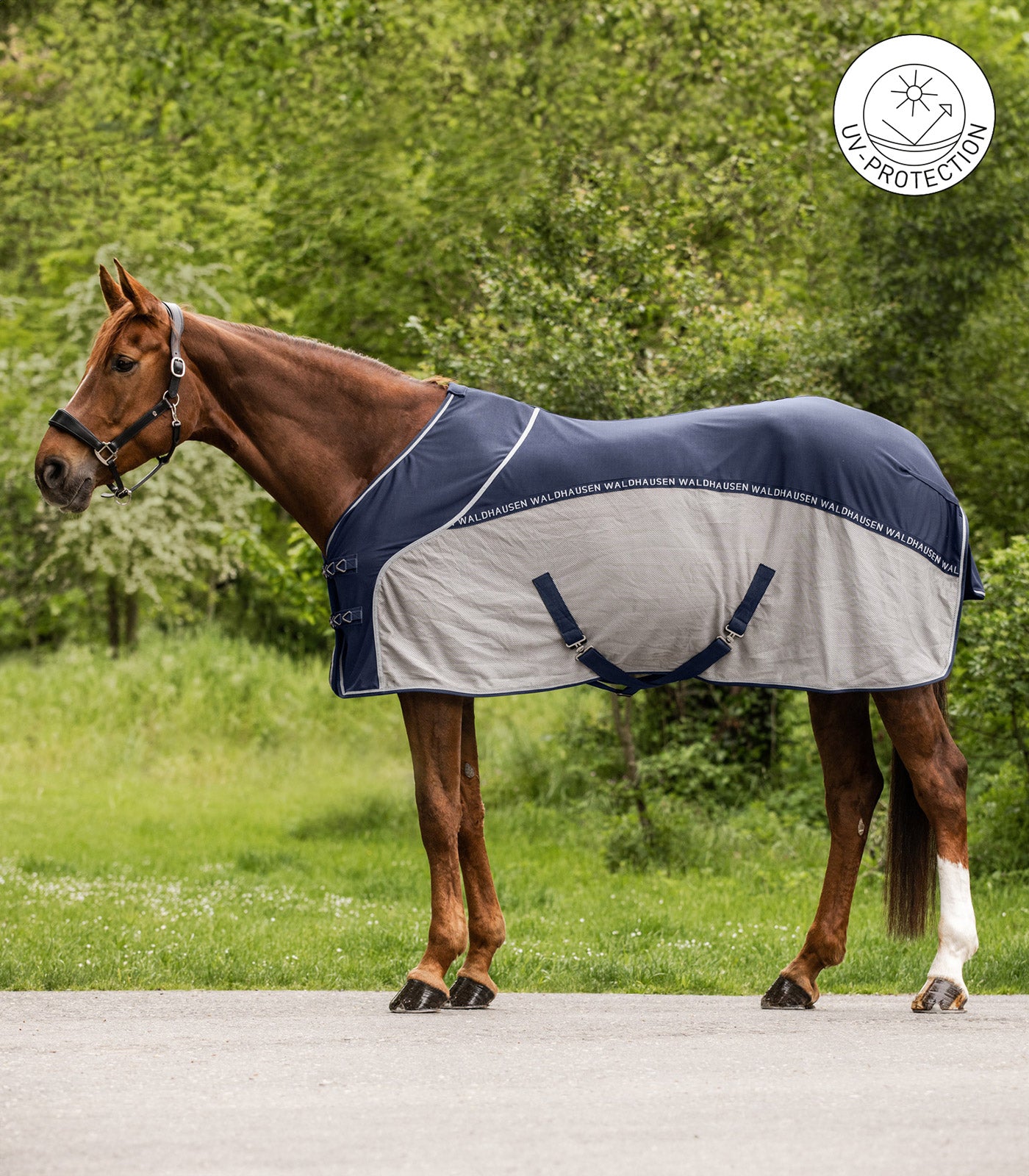 Waldhausen - Fly Summer Rug