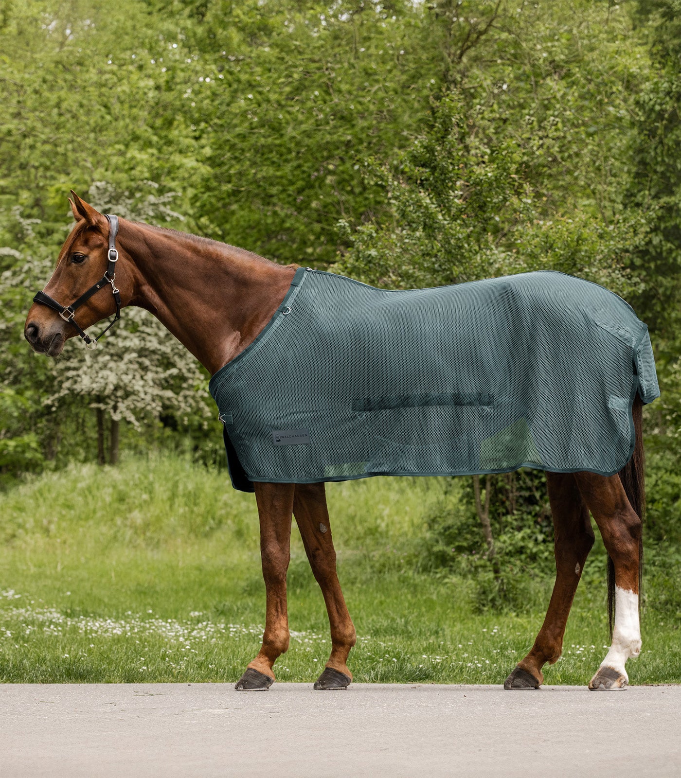 Waldhausen - Fly rug Comfort with belly flap