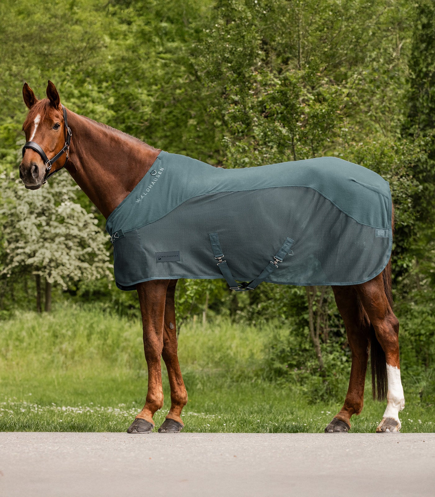 Waldhausen - Fleece/Fly rug Comfort
