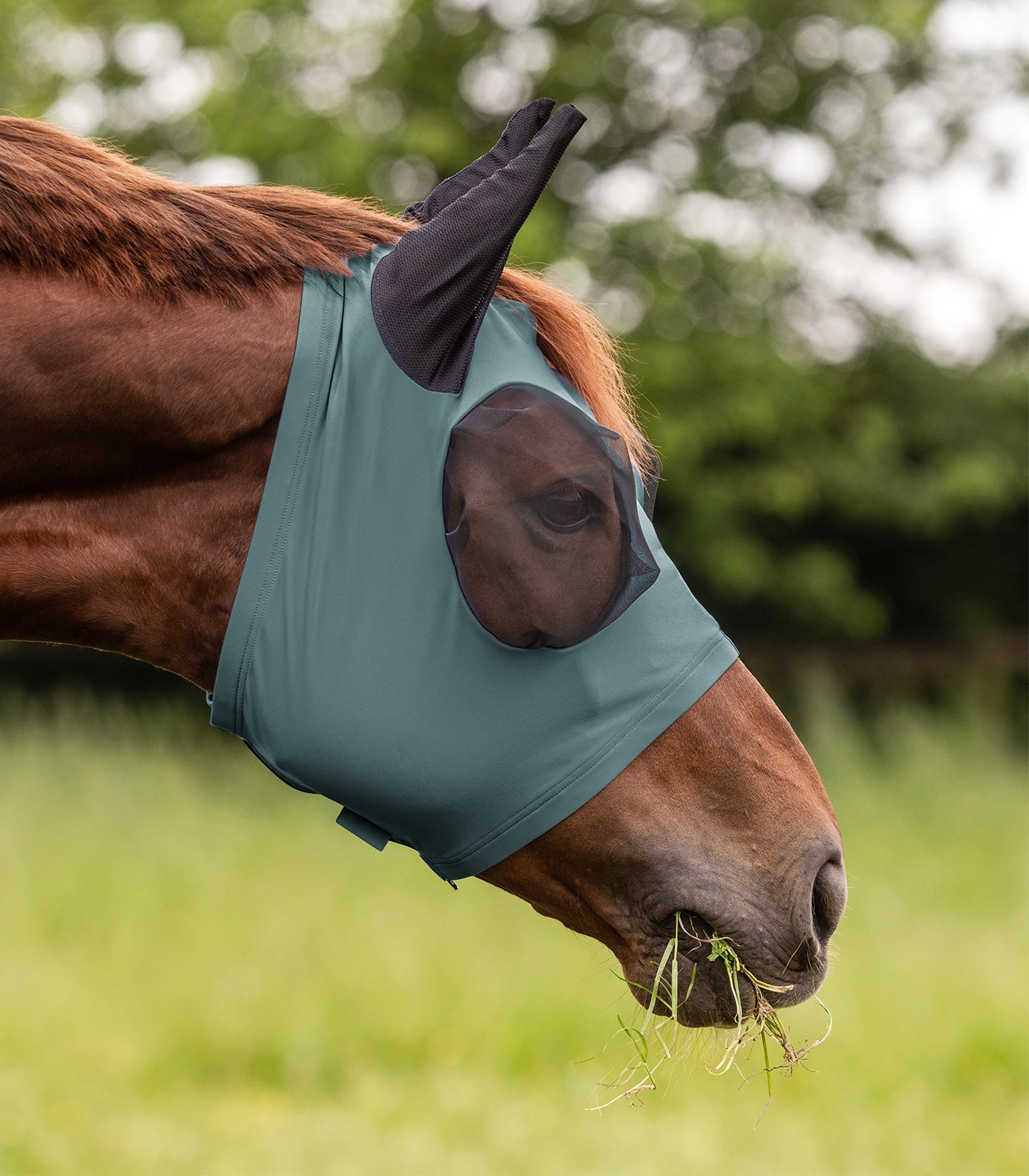 Waldhausen - Fly Mask Puck