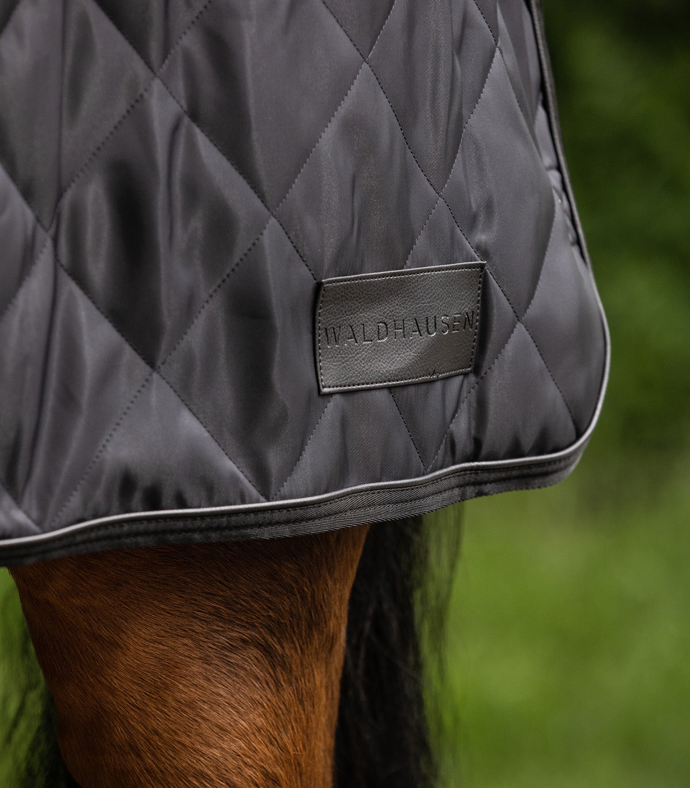 Waldhausen - Horsewalker Rug Exclusive
