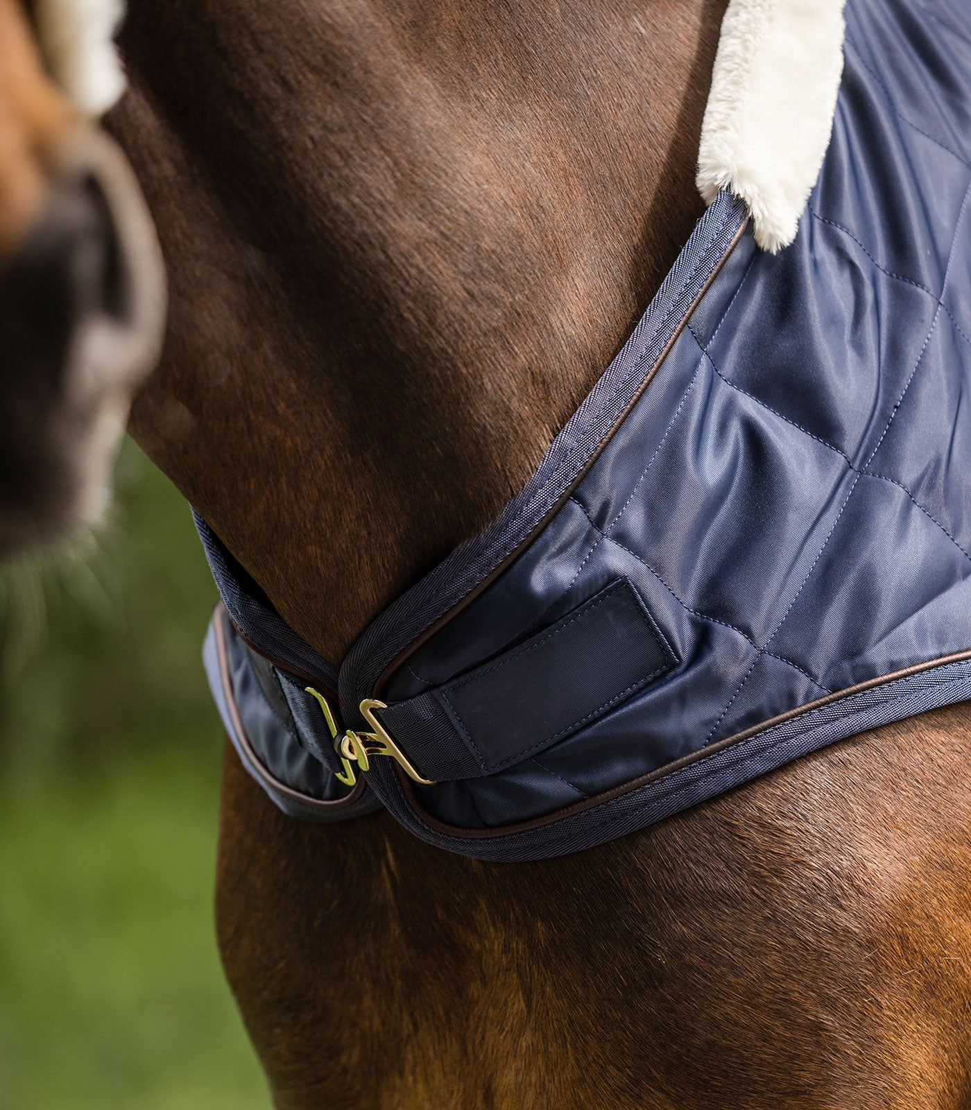 Waldhausen - Horsewalker Rug Exclusive