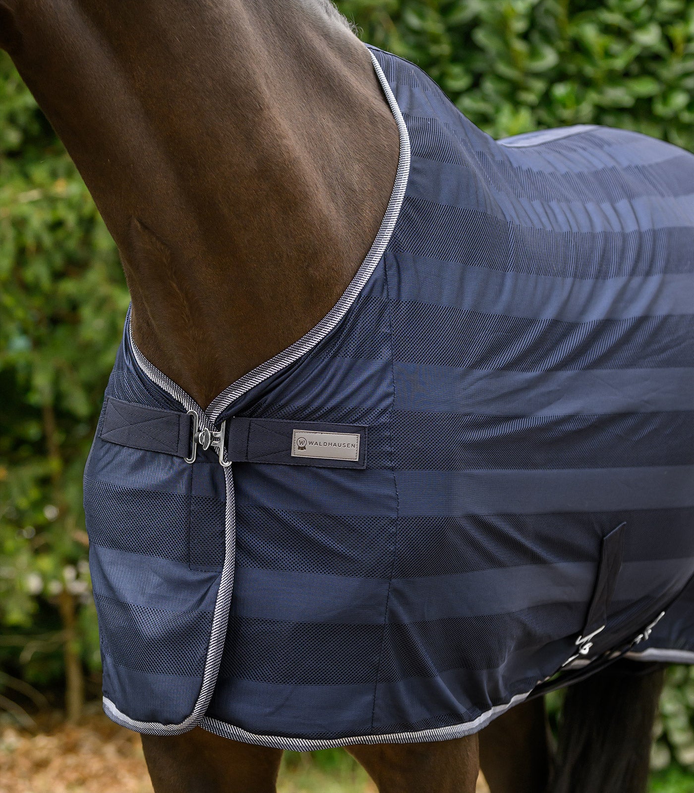 Waldhausen - Fly rug Economic Cross Surcingles