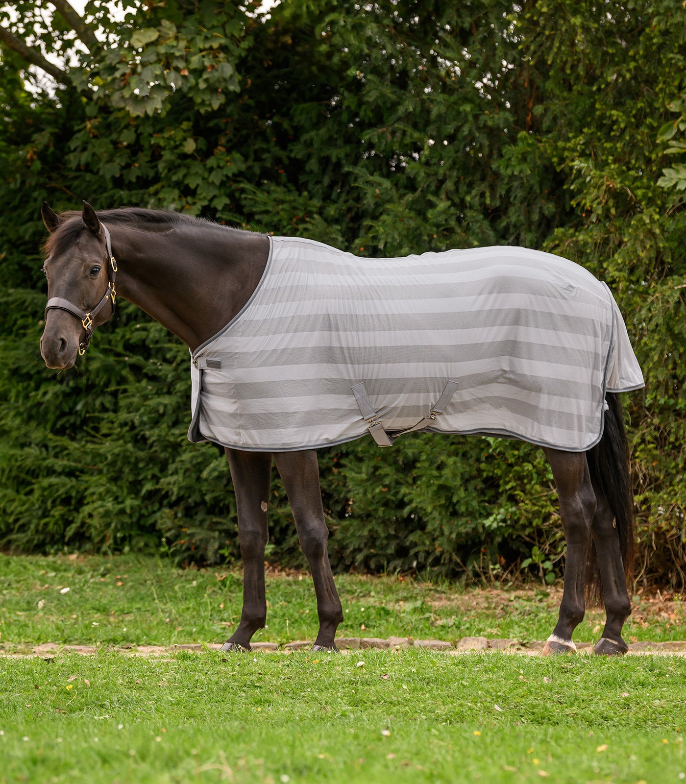Waldhausen - Fly rug Economic Cross Surcingles