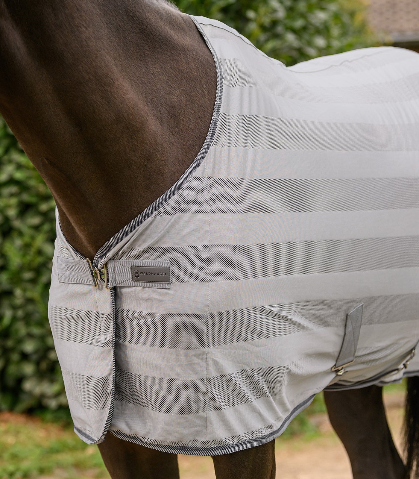 Waldhausen - Fly rug Economic Cross Surcingles