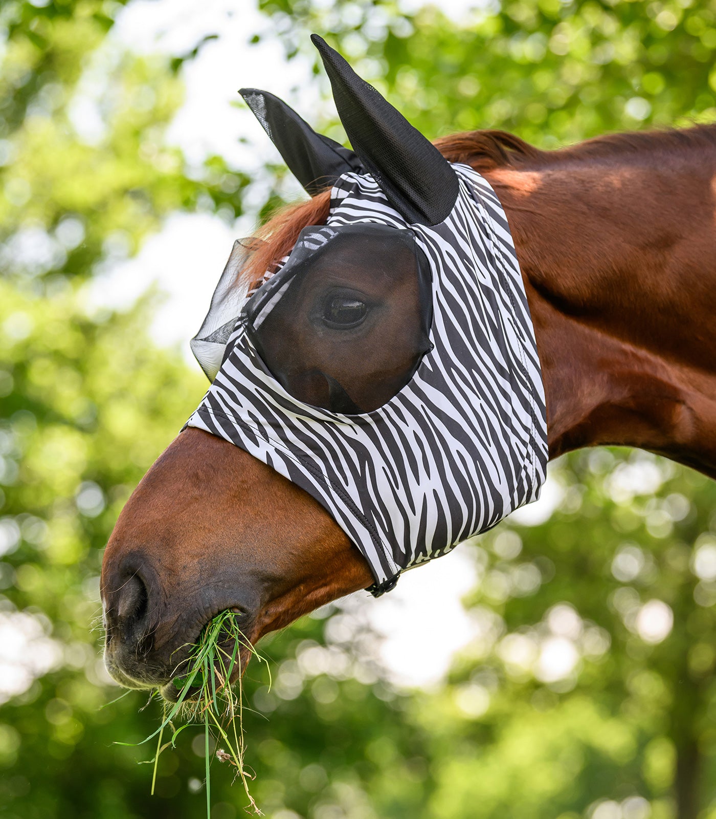 Waldhausen - Fly Mask Puck Zebra, black/white