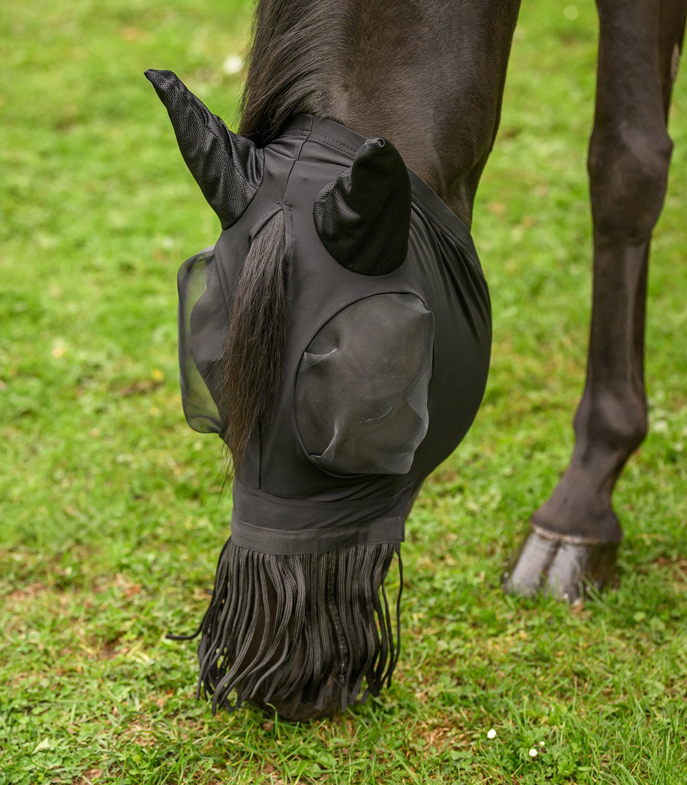Waldhausen - Fly Mask Puck with nose fringes