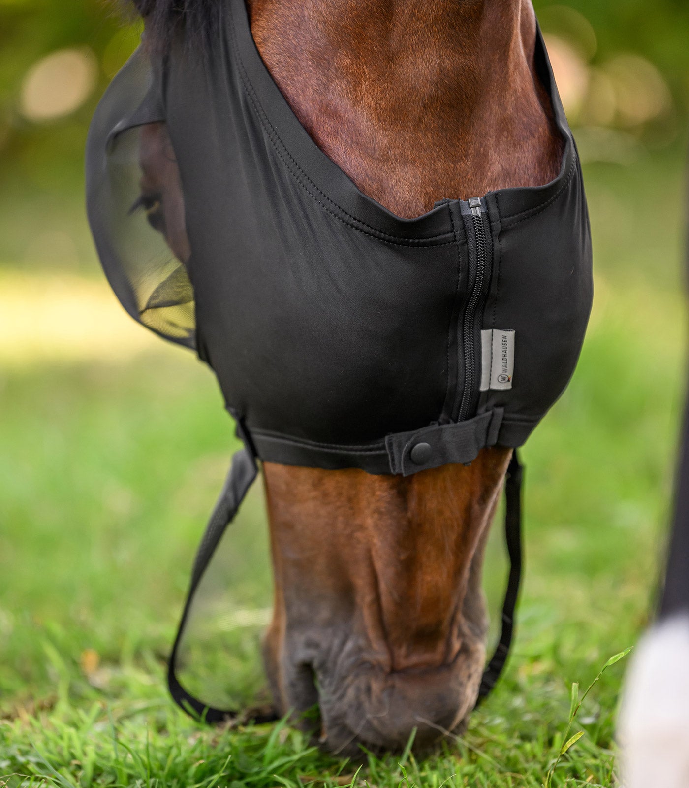 Waldhausen - Fly Mask Puck with nose protection