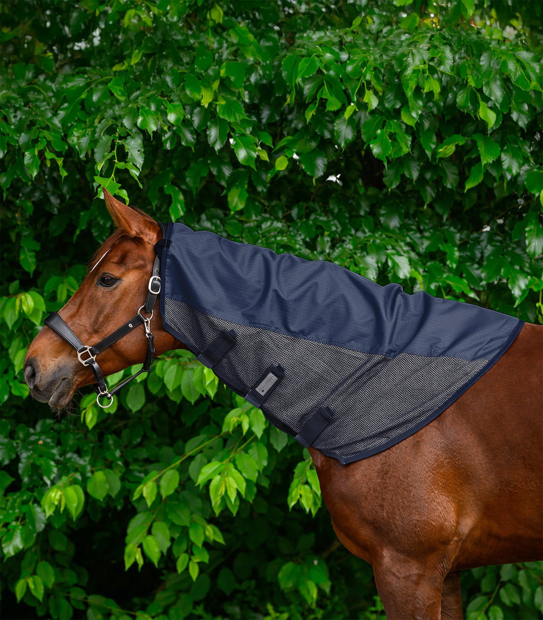 Waldhausen - Rain - Fly neck cover Comfort, night blue , Cob