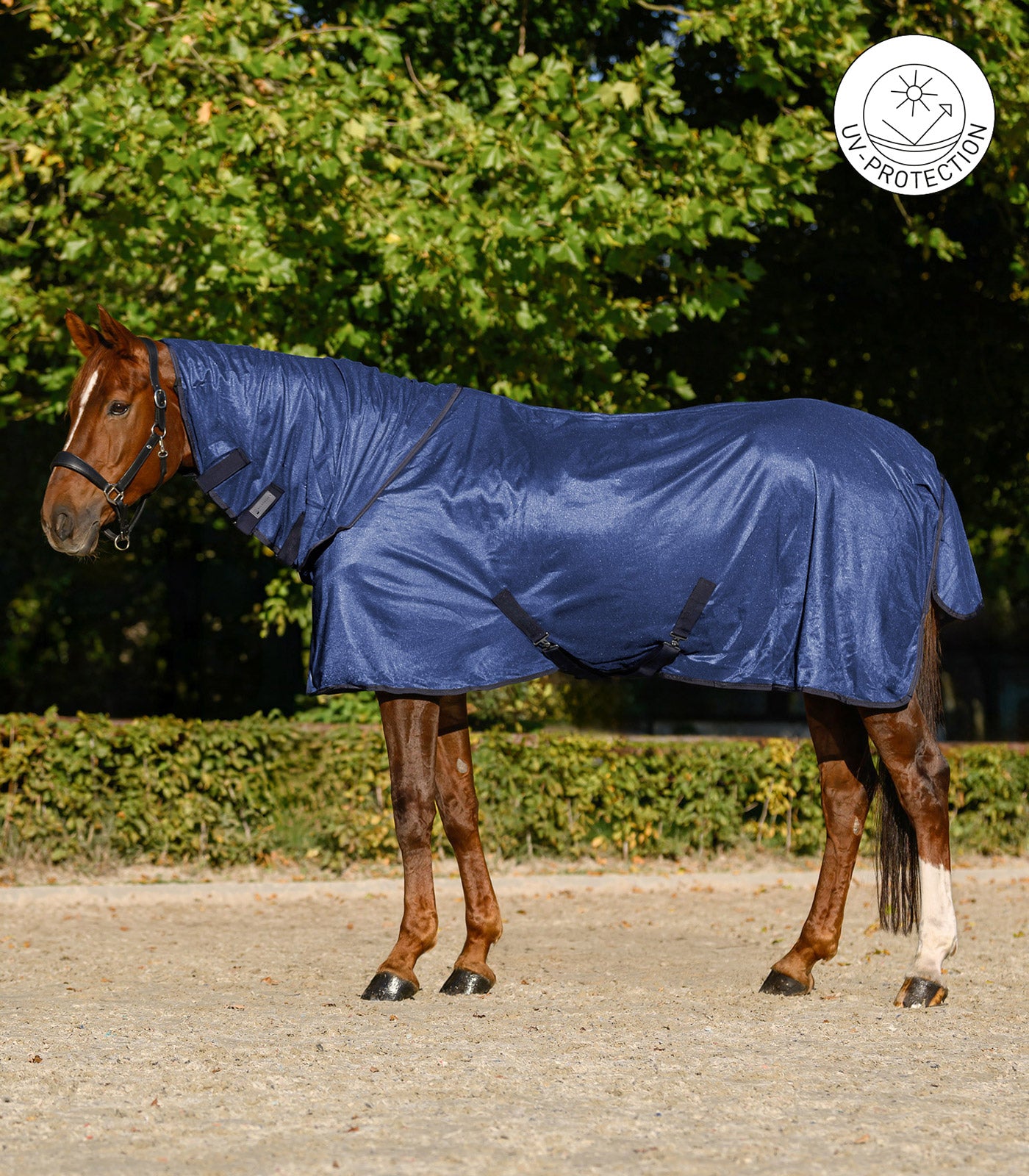 Waldhausen - Fly Rug FlyControl with neck rug