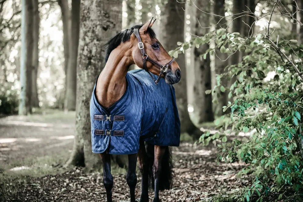Kentucky - Stalddækken, stable rug, 200g foret m. kaninpels, navy